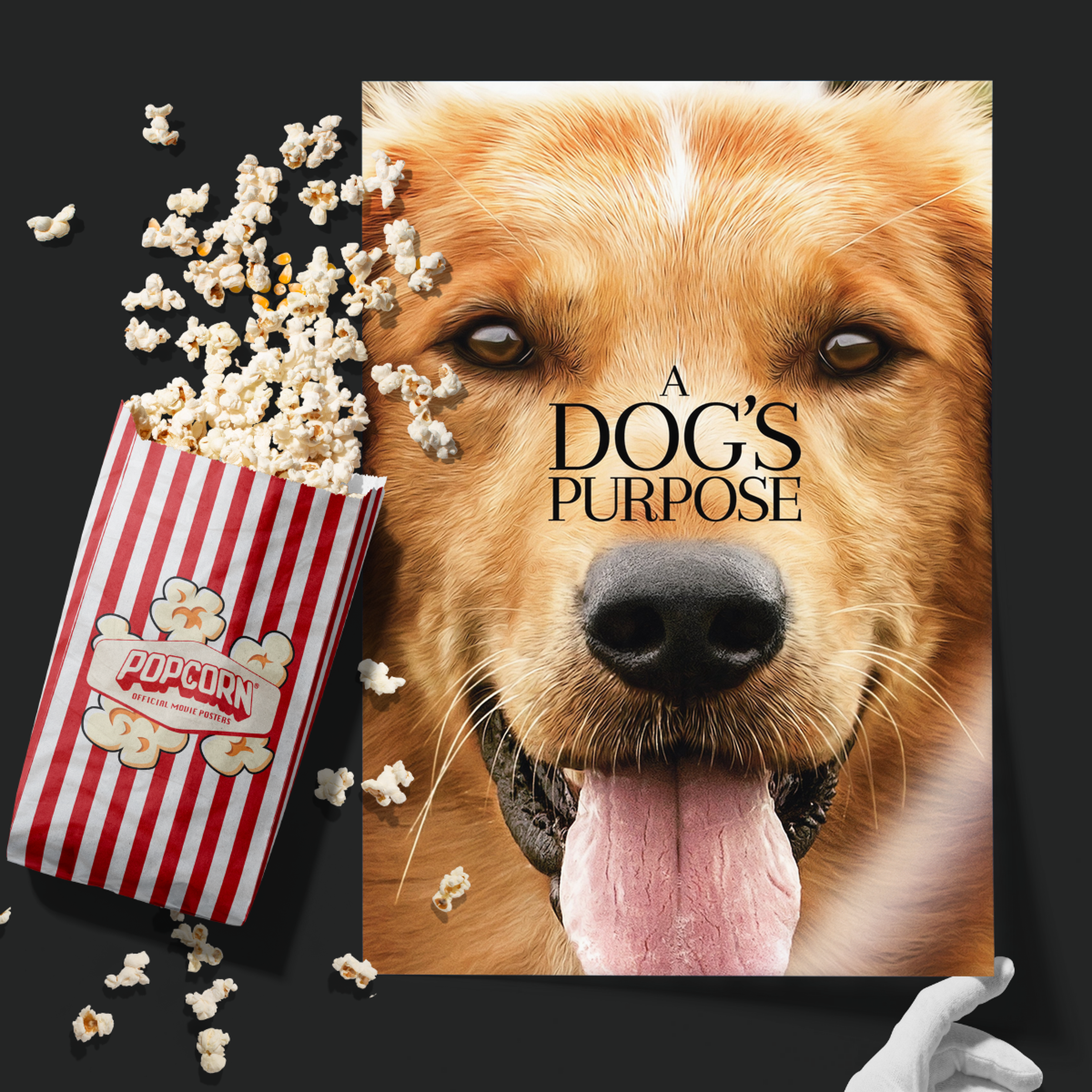 A Dog's Purpose (2017)