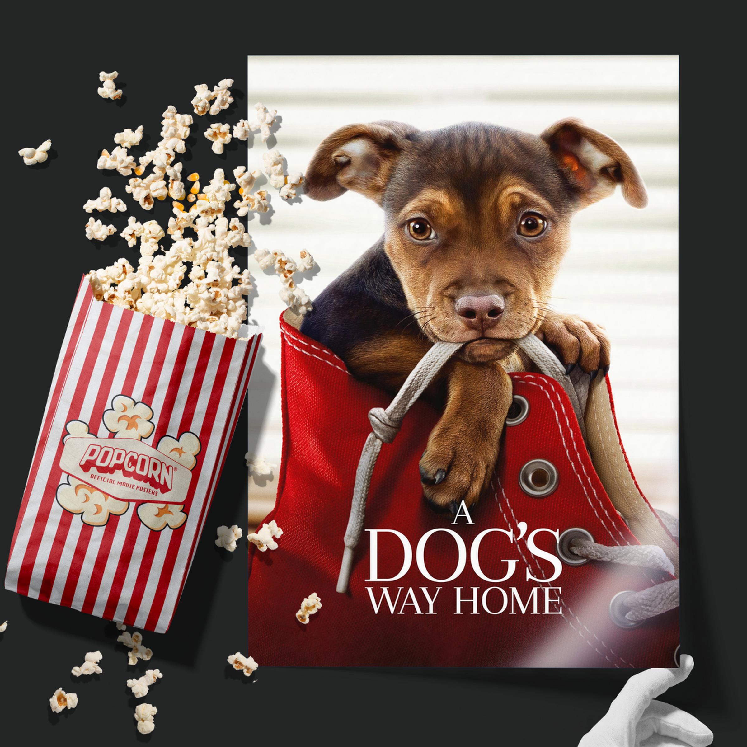 A Dog's Way Home (2019)