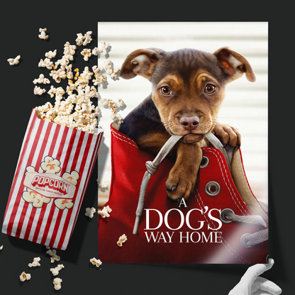 A Dog's Way Home (2019)