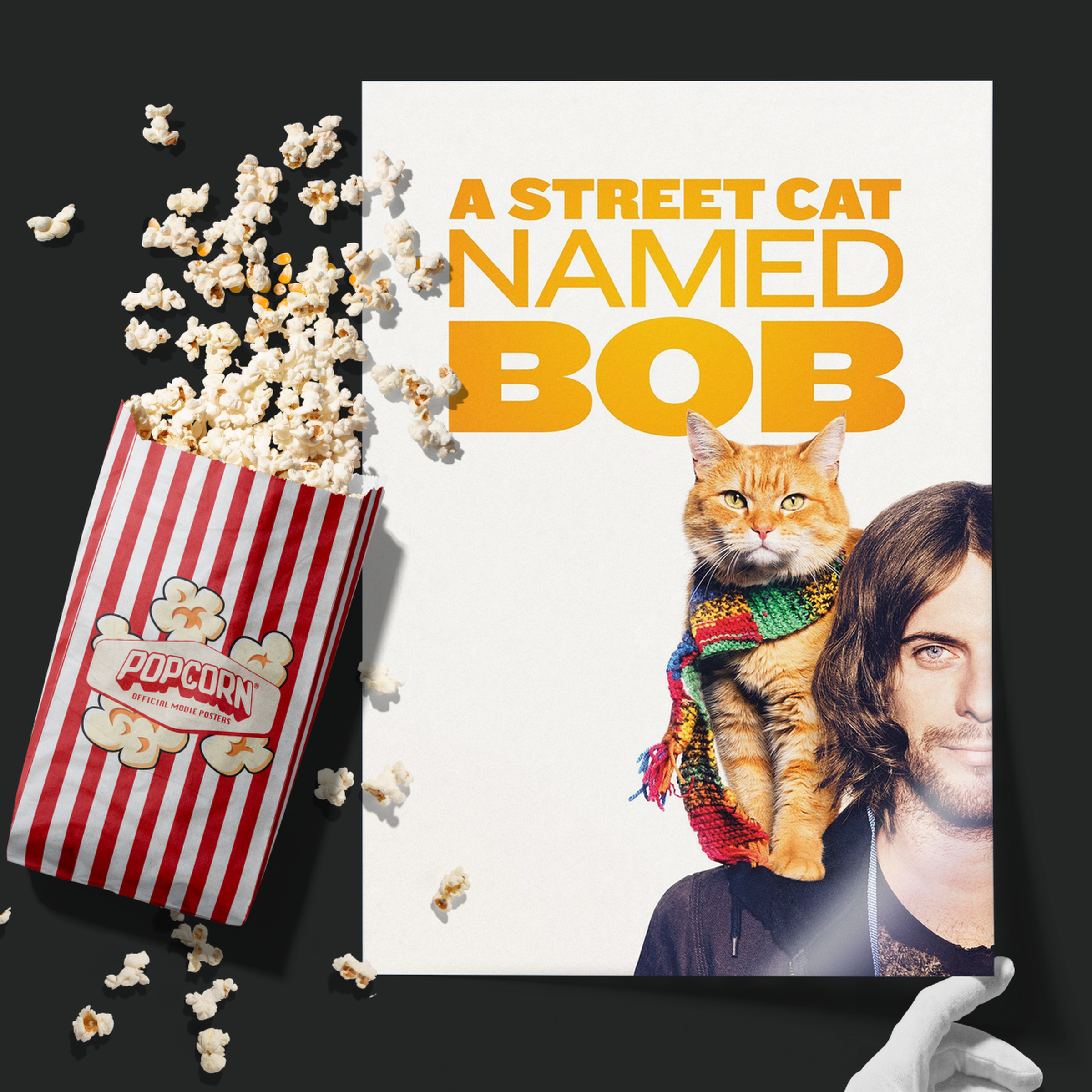 A Street Cat Named Bob (2016)
