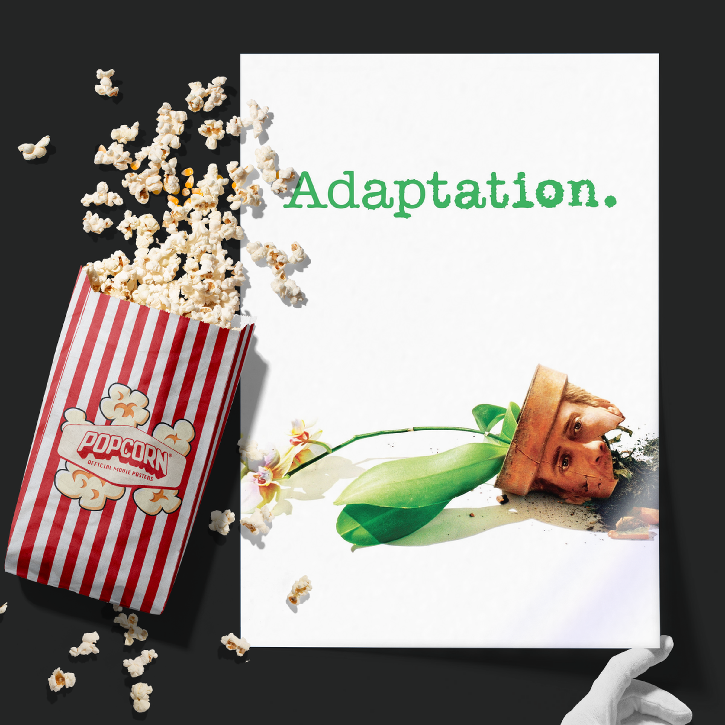 Adaptation. (2002)