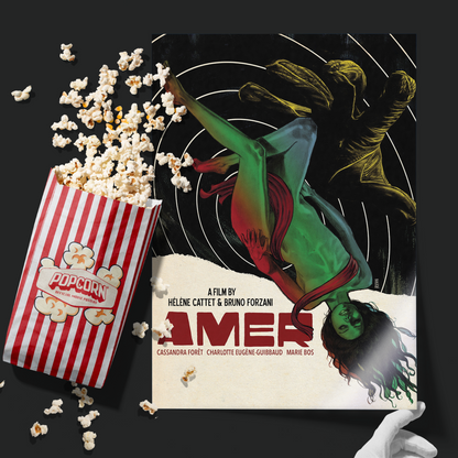 Amer (2009)