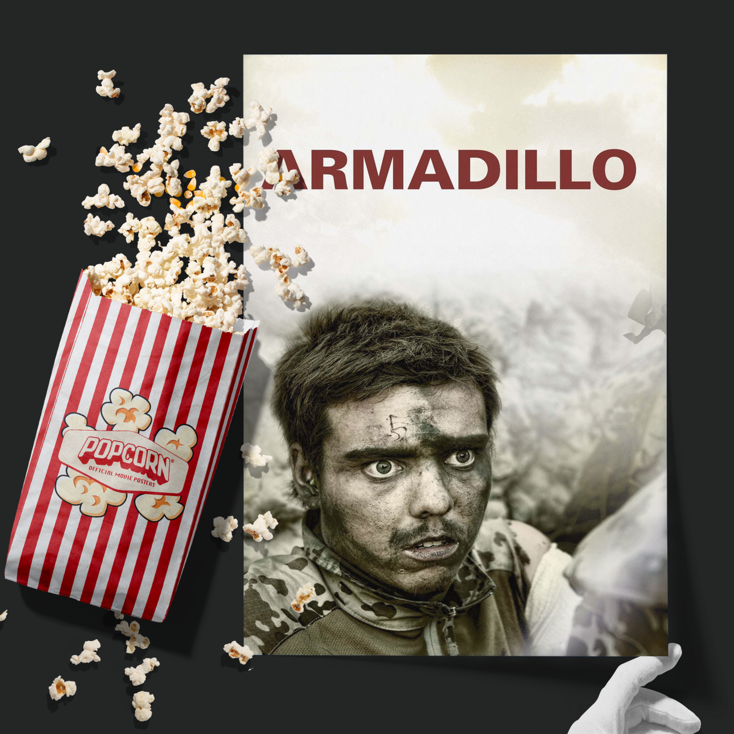 Armadillo (2010)