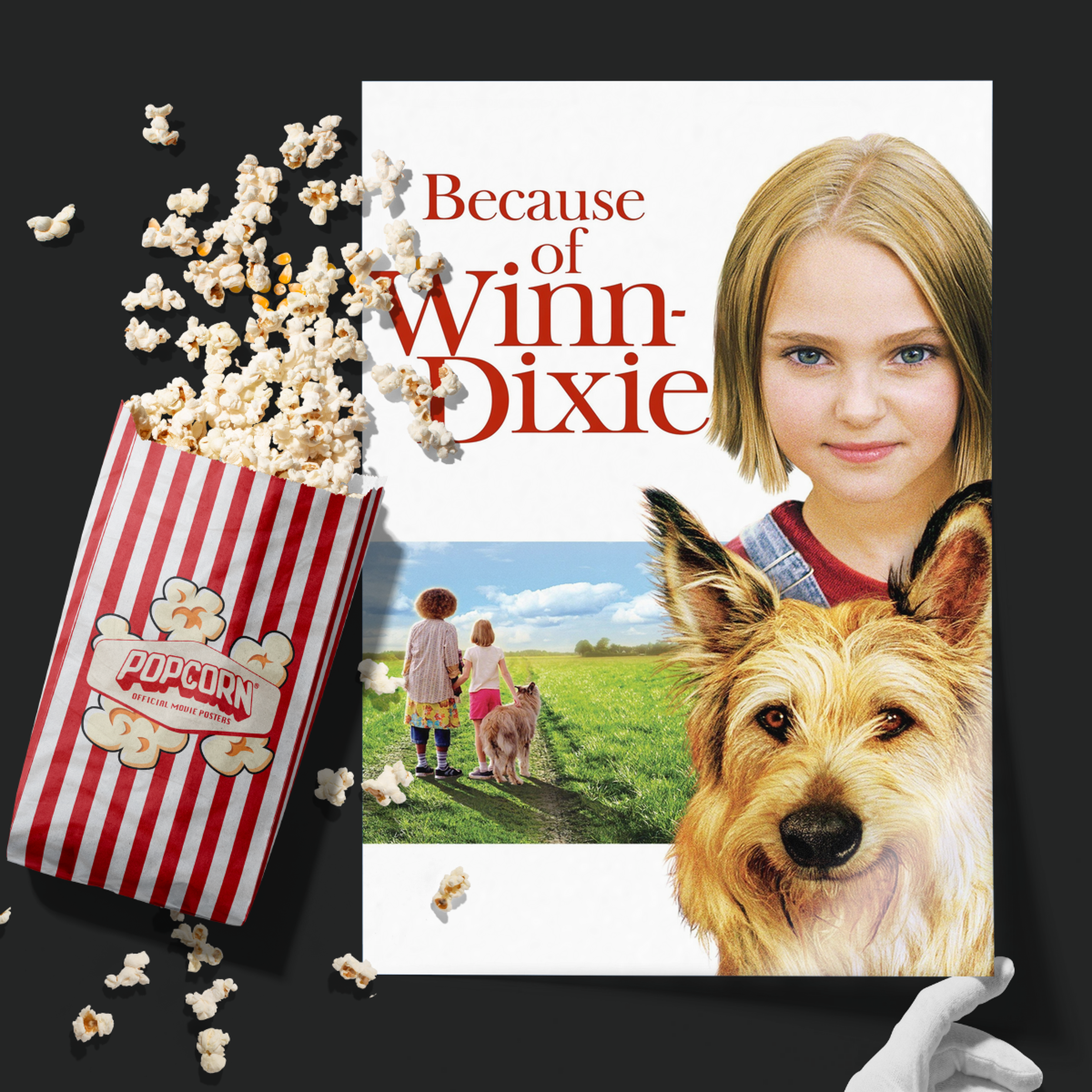 Because Of Winn Dixie (2005)