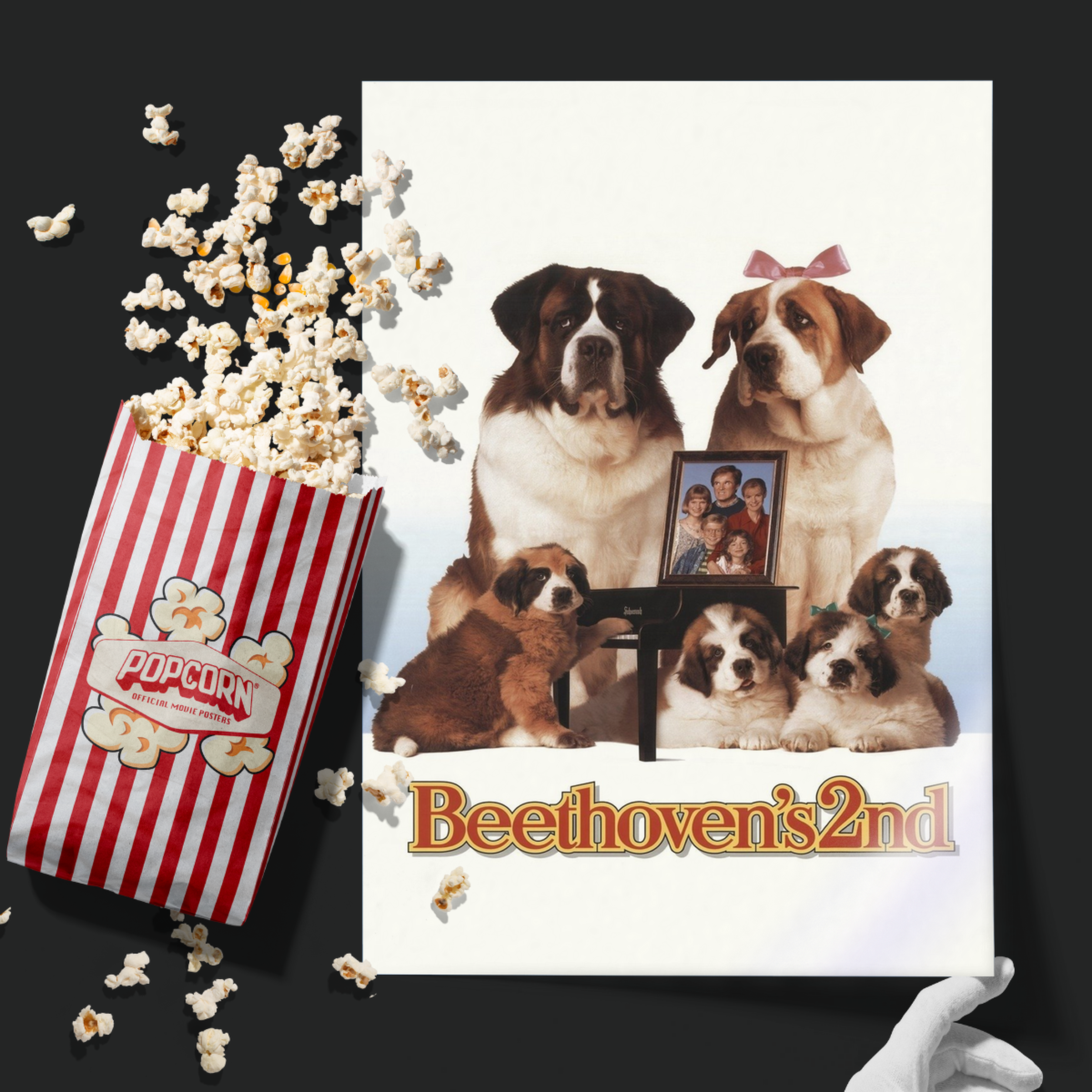 Beethoven's 2nd (1993)