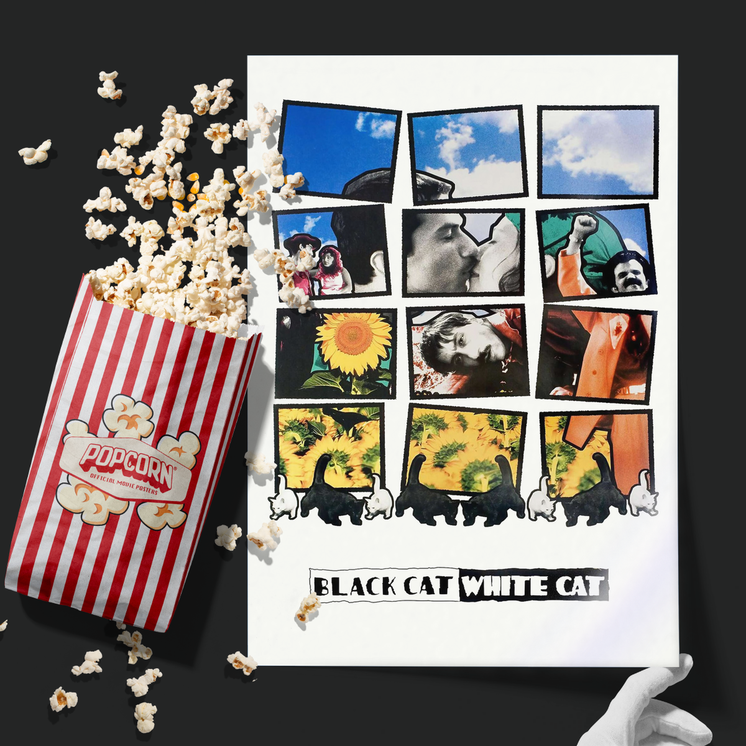 Black Cat, White Cat (1998)