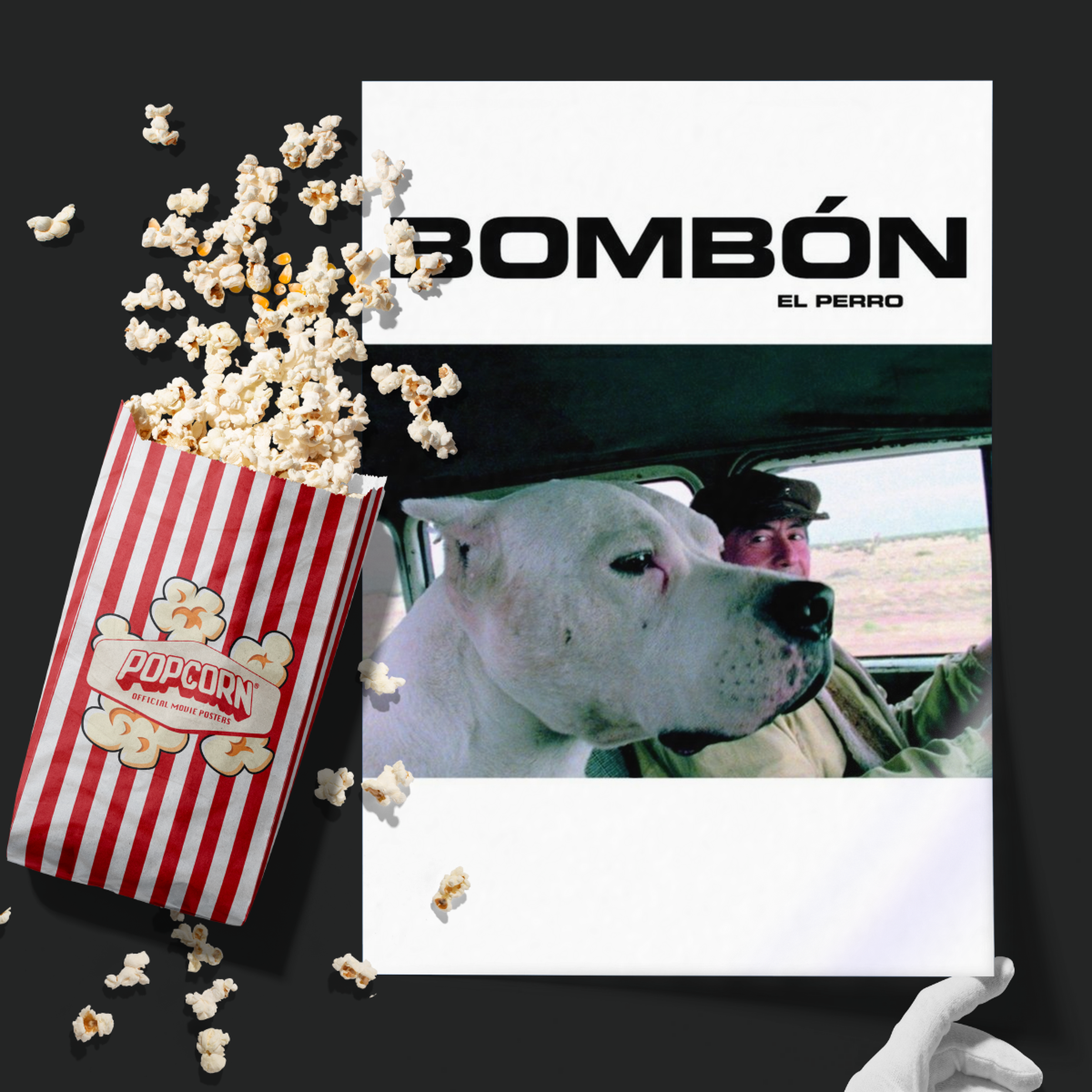 Bombón El Perro (2004)
