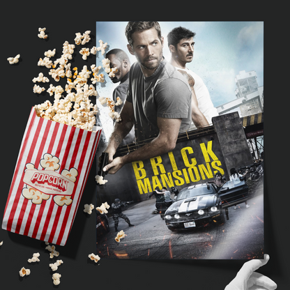Brick Mansions (2014)