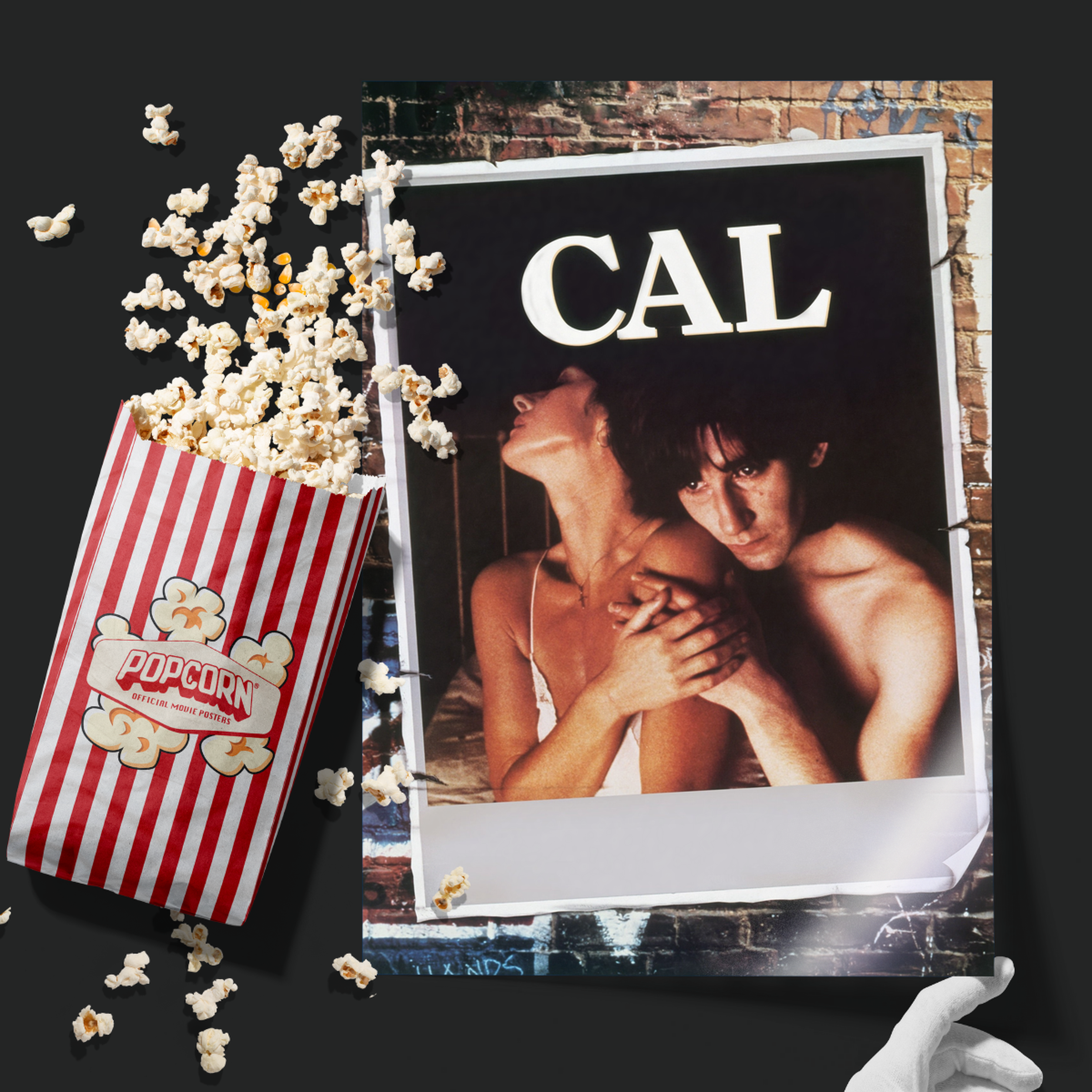Cal (1984)