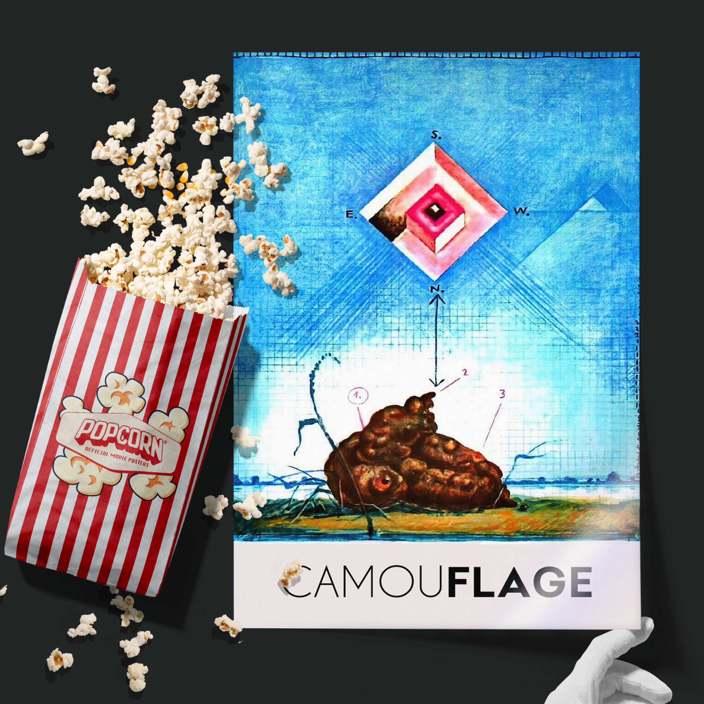 Camouflage (1977)