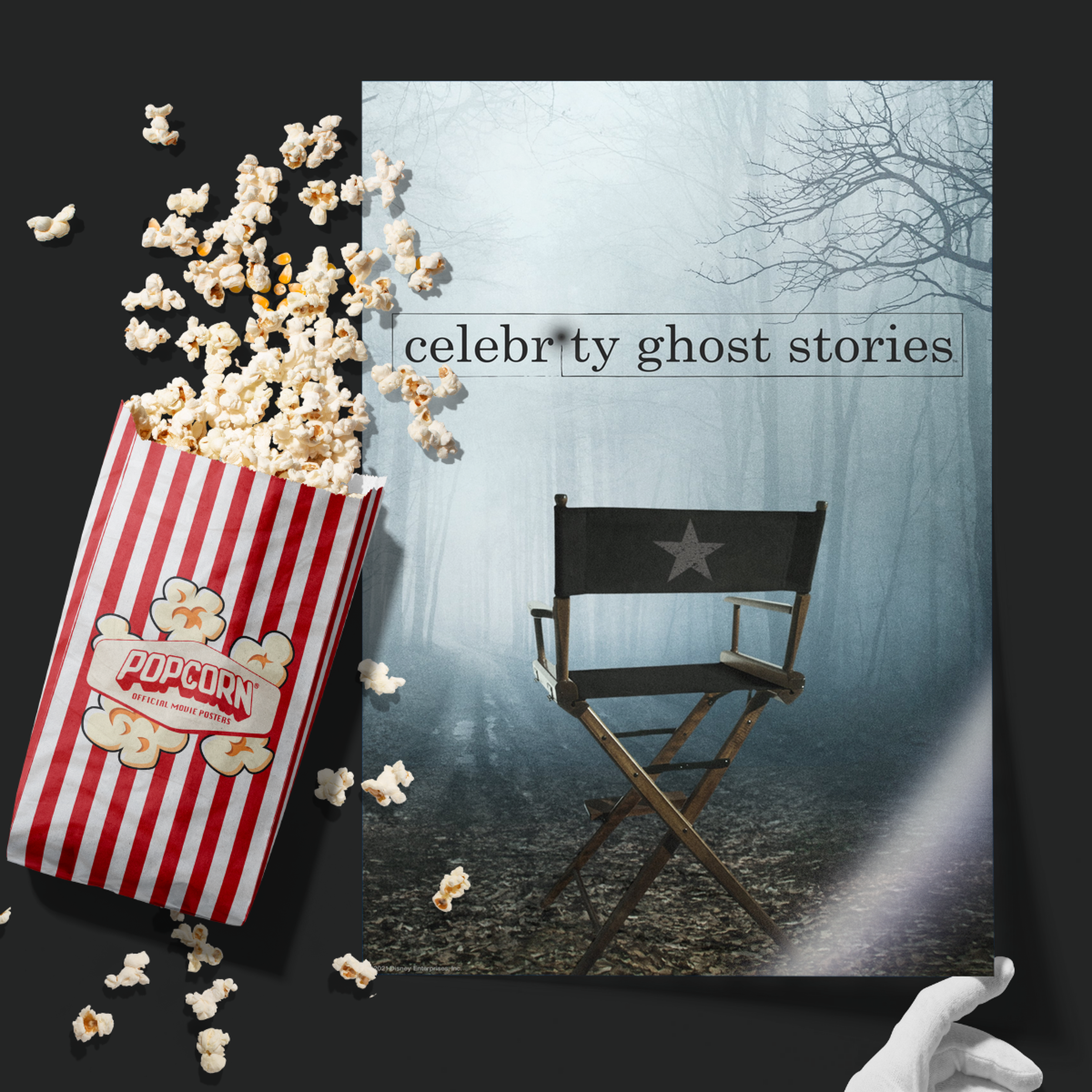 Celebrity Ghost Stories (2009)