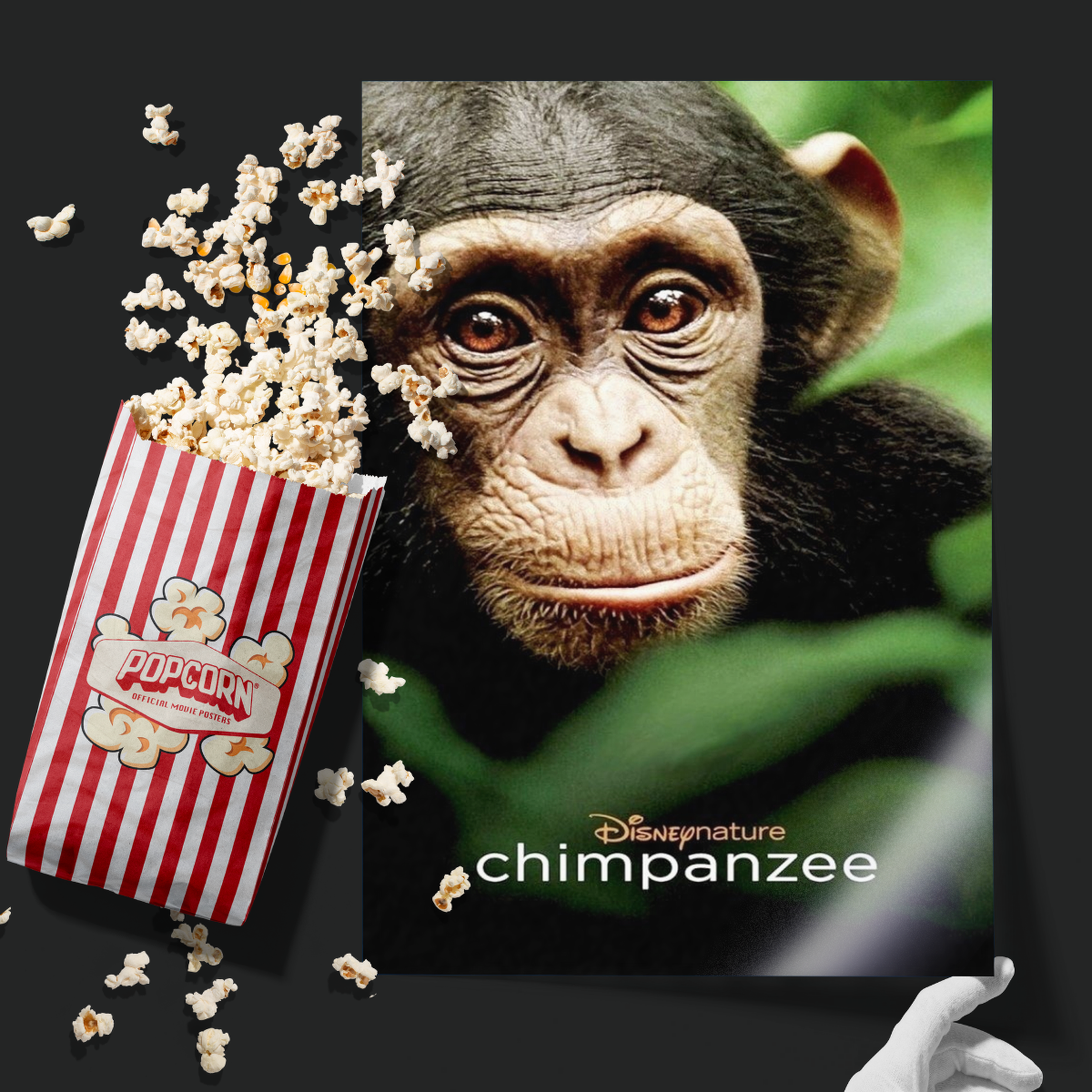 Chimpanzee (2012)