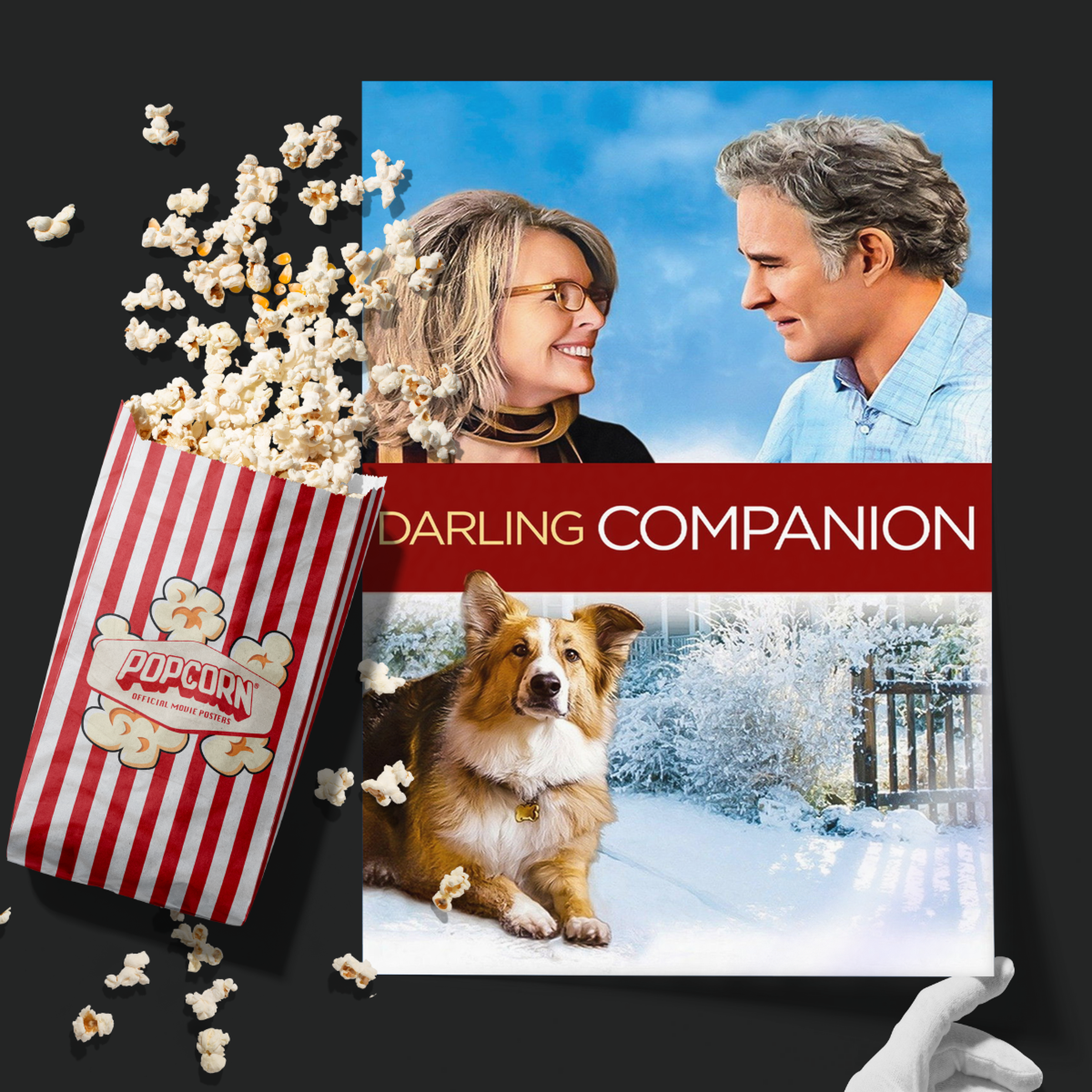 Darling Companion (2012)