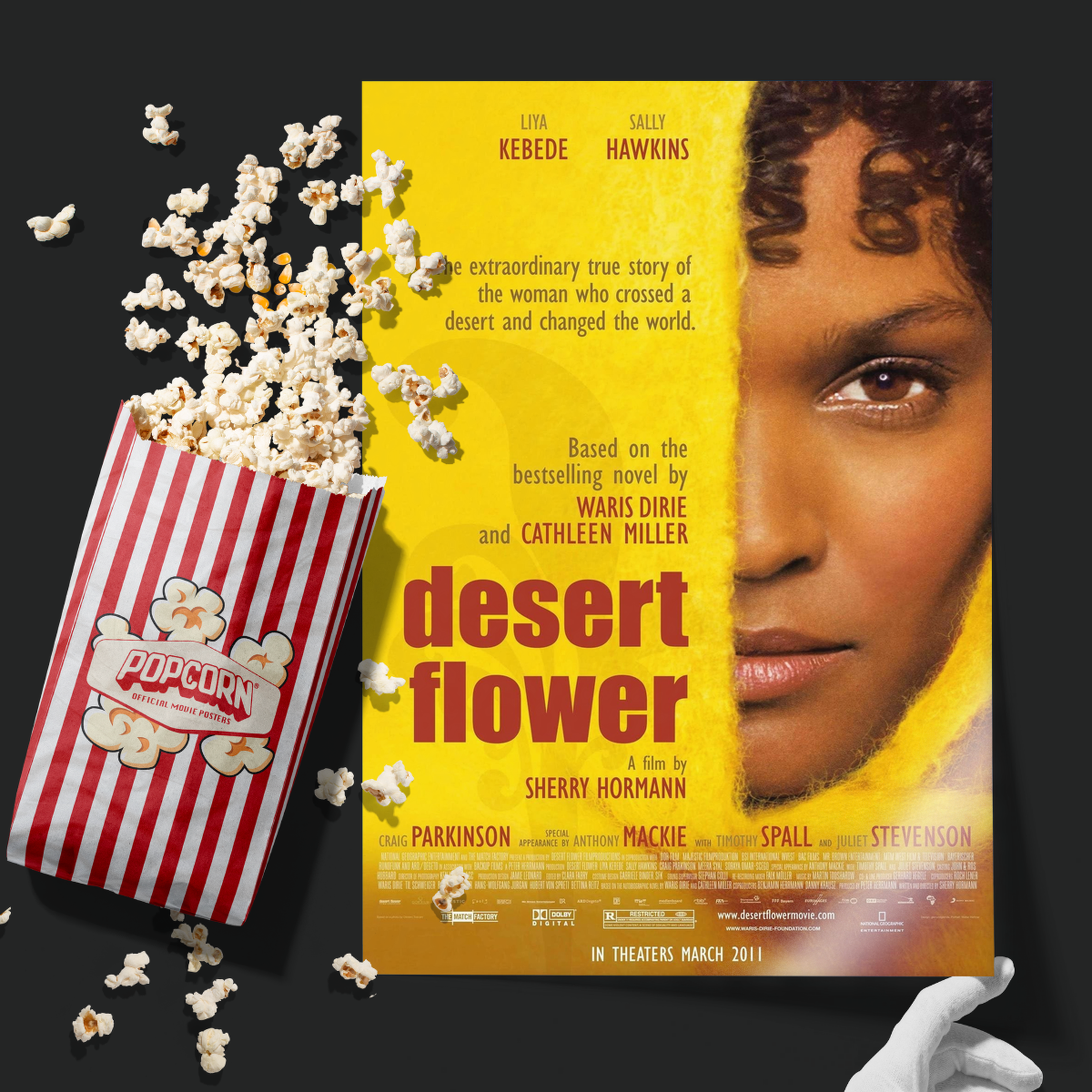 Desert Flower (2009)
