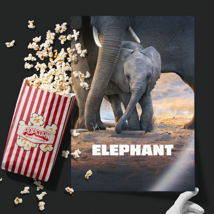Elephant (2020)