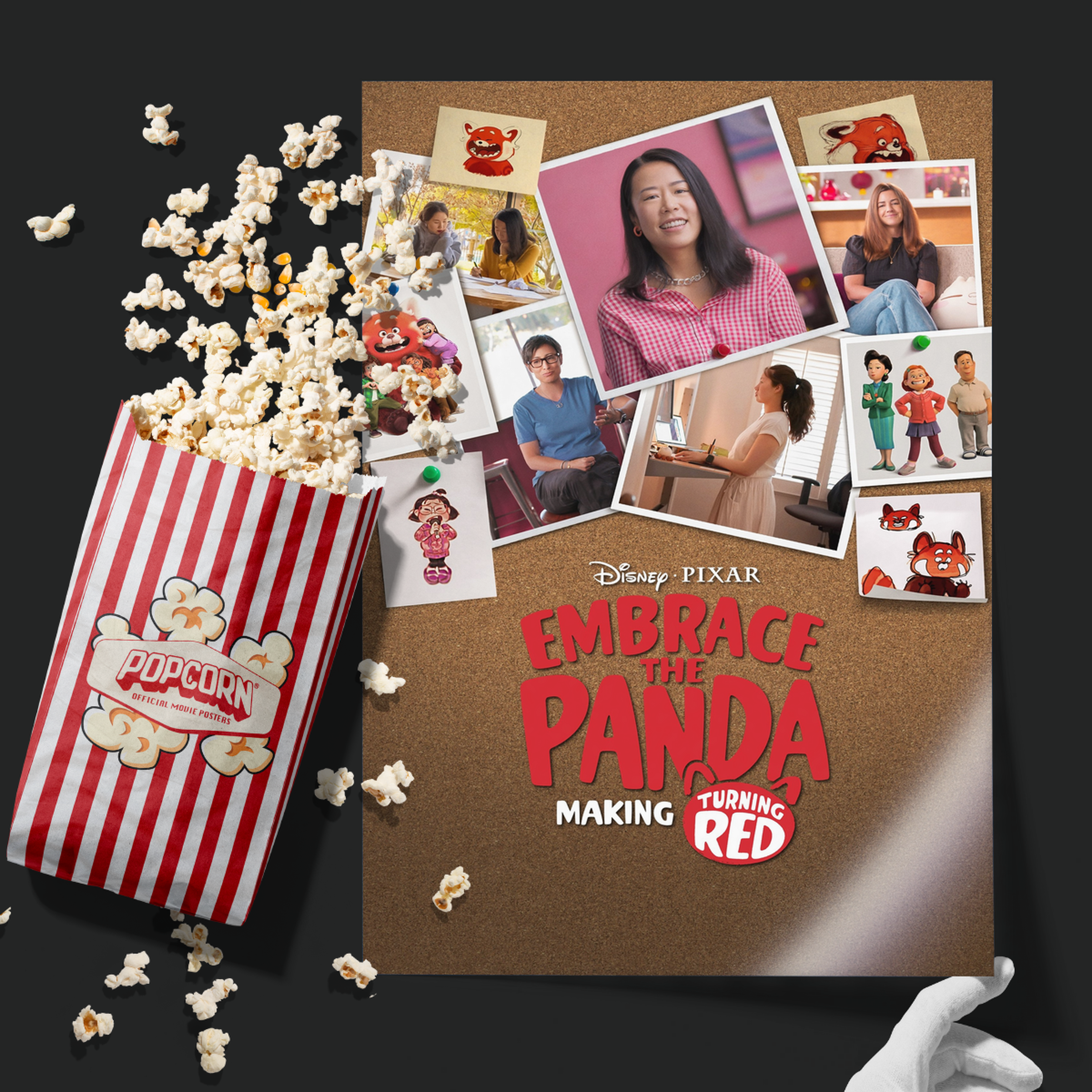 Embrace The Panda Making Turning Red (2022)