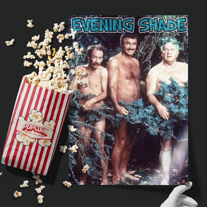 Evening Shade (1990)