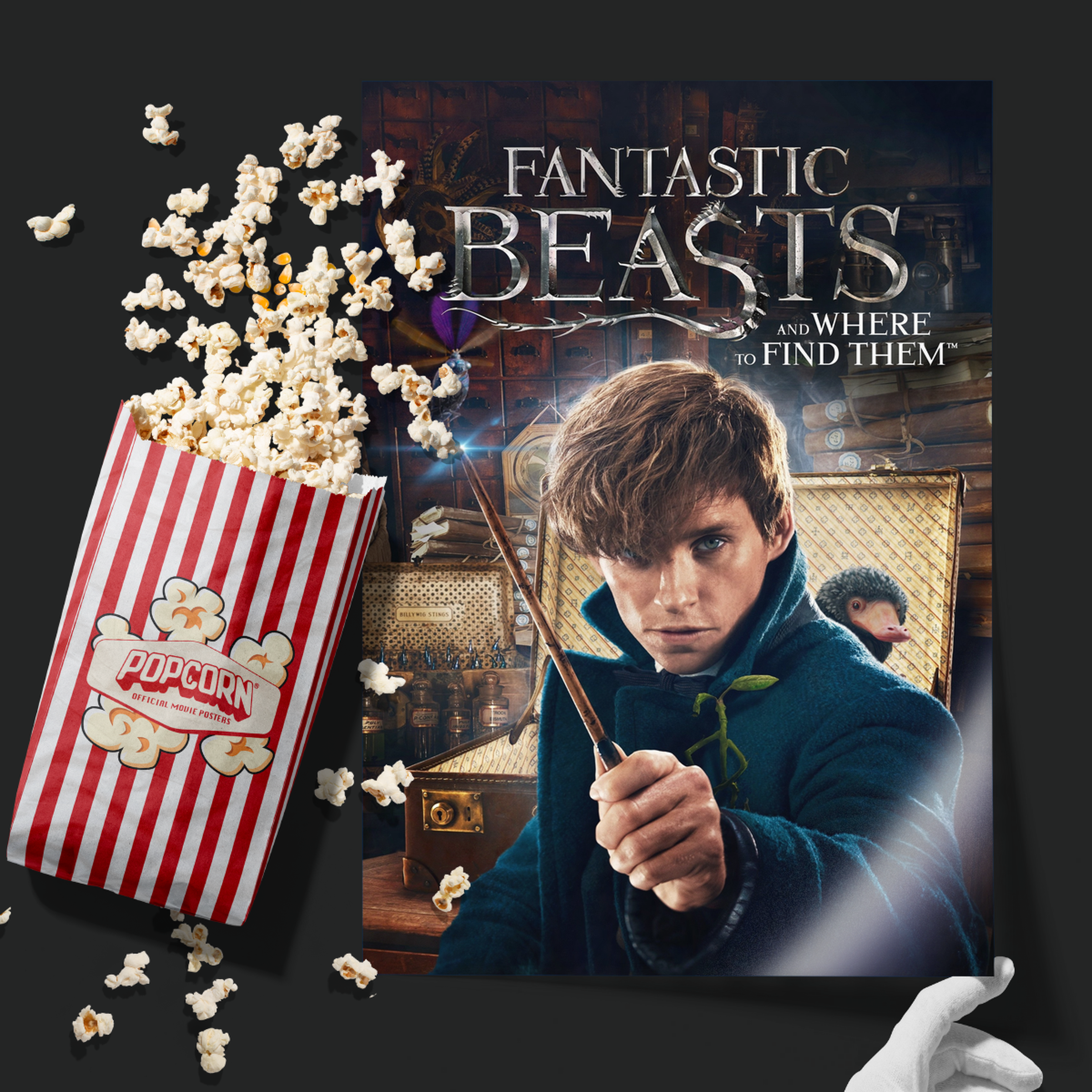 Fantastic Beasts And Where To Find Them (2016)