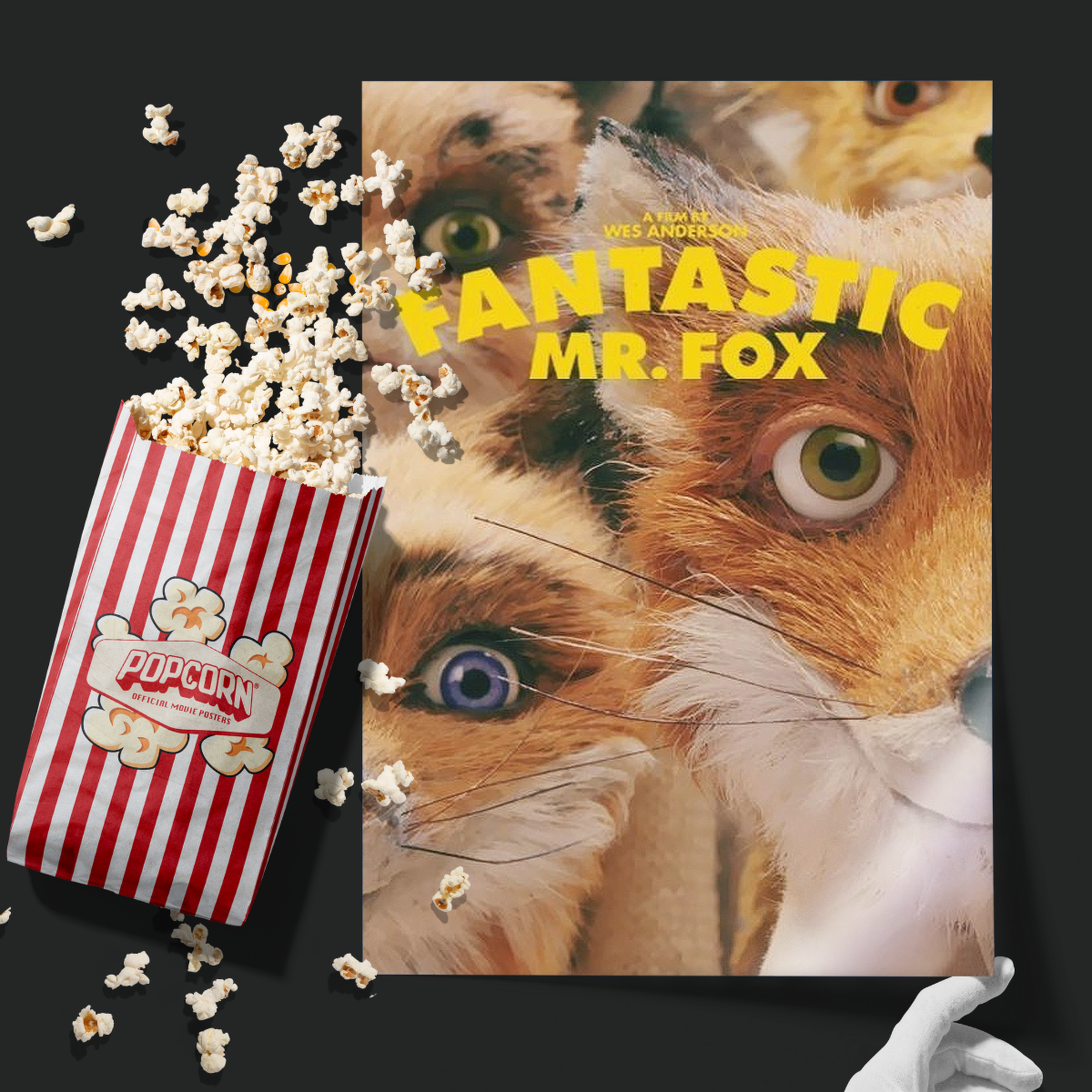 Fantastic Mr. Fox (2009)