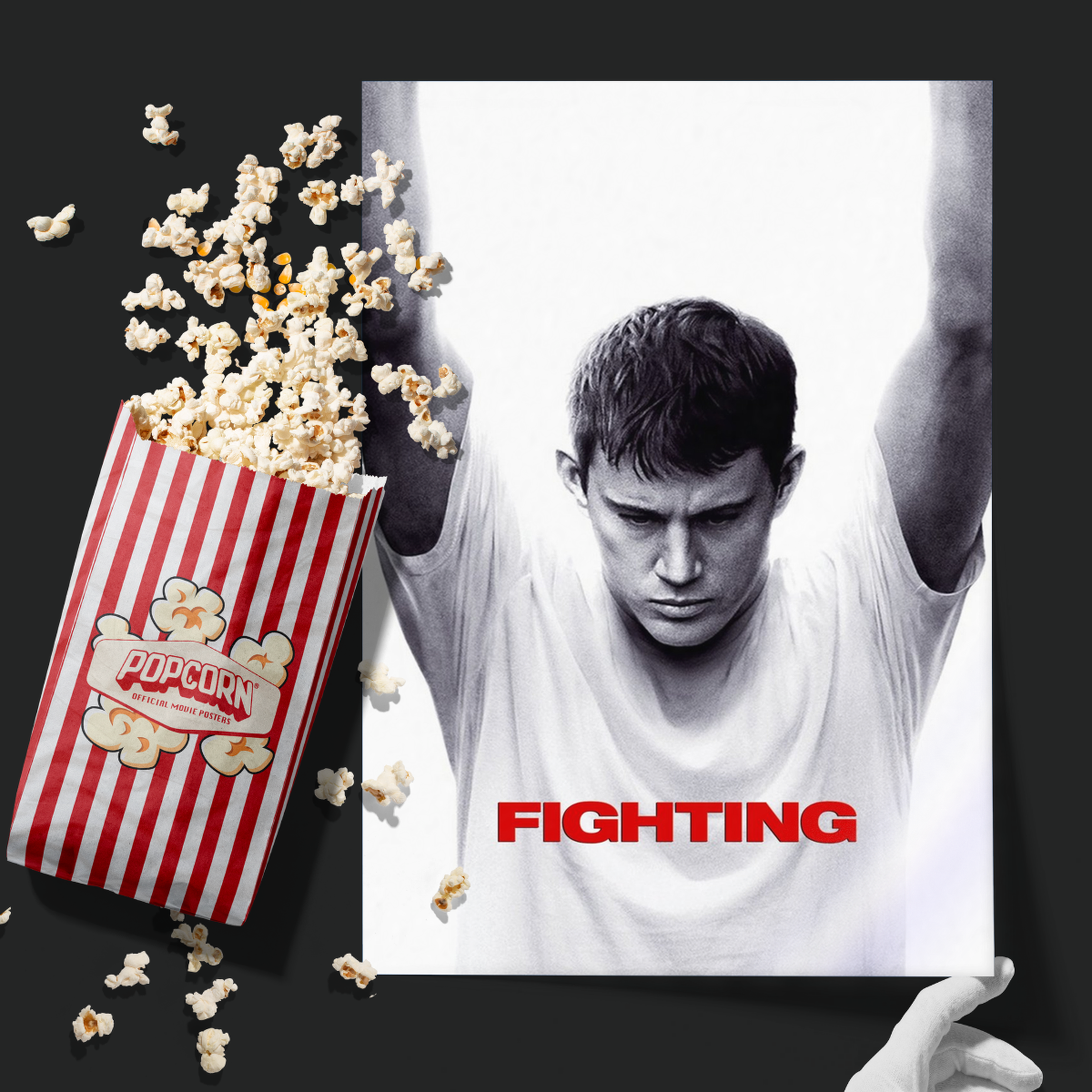 Fighting (2009)