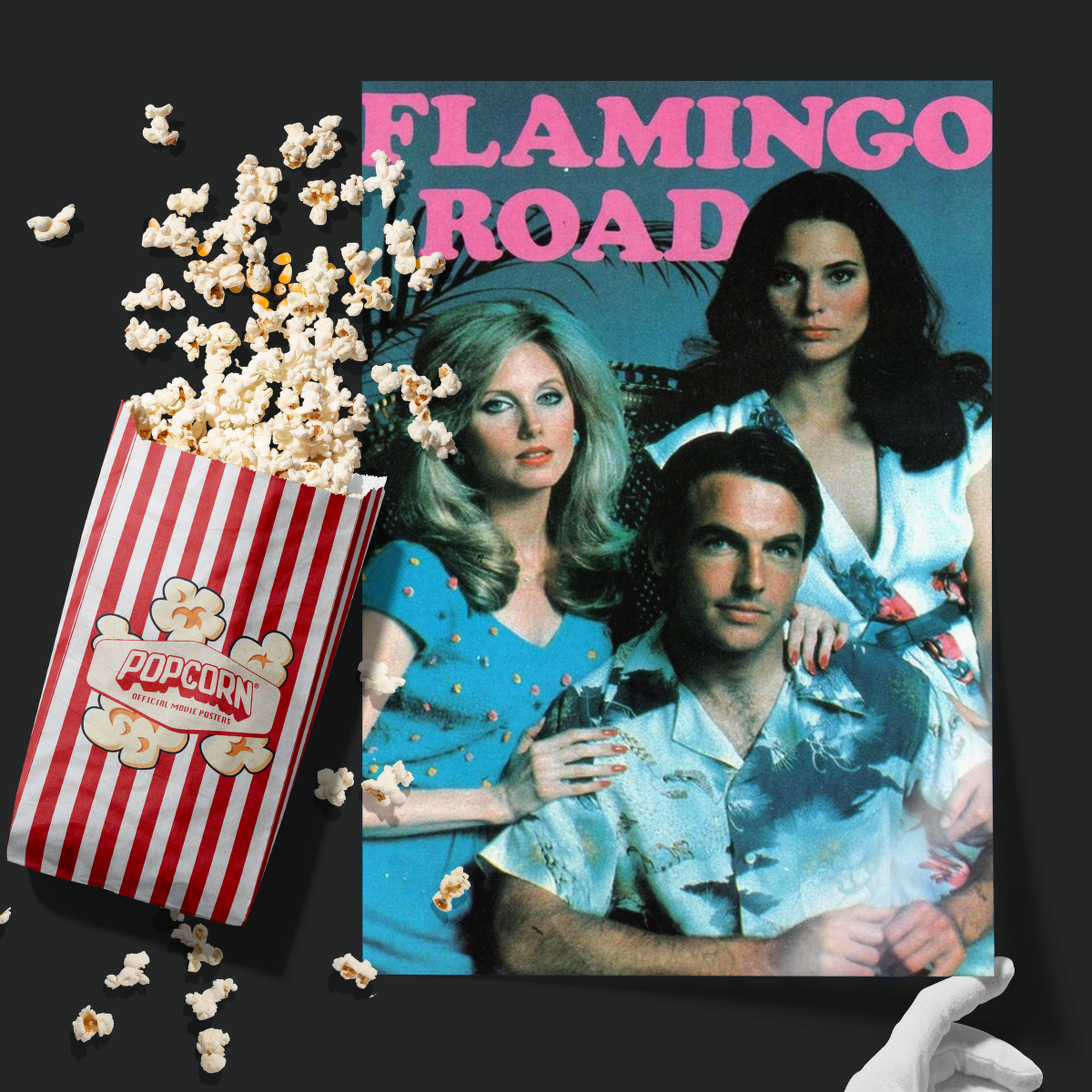 Flamingo Road (1981)