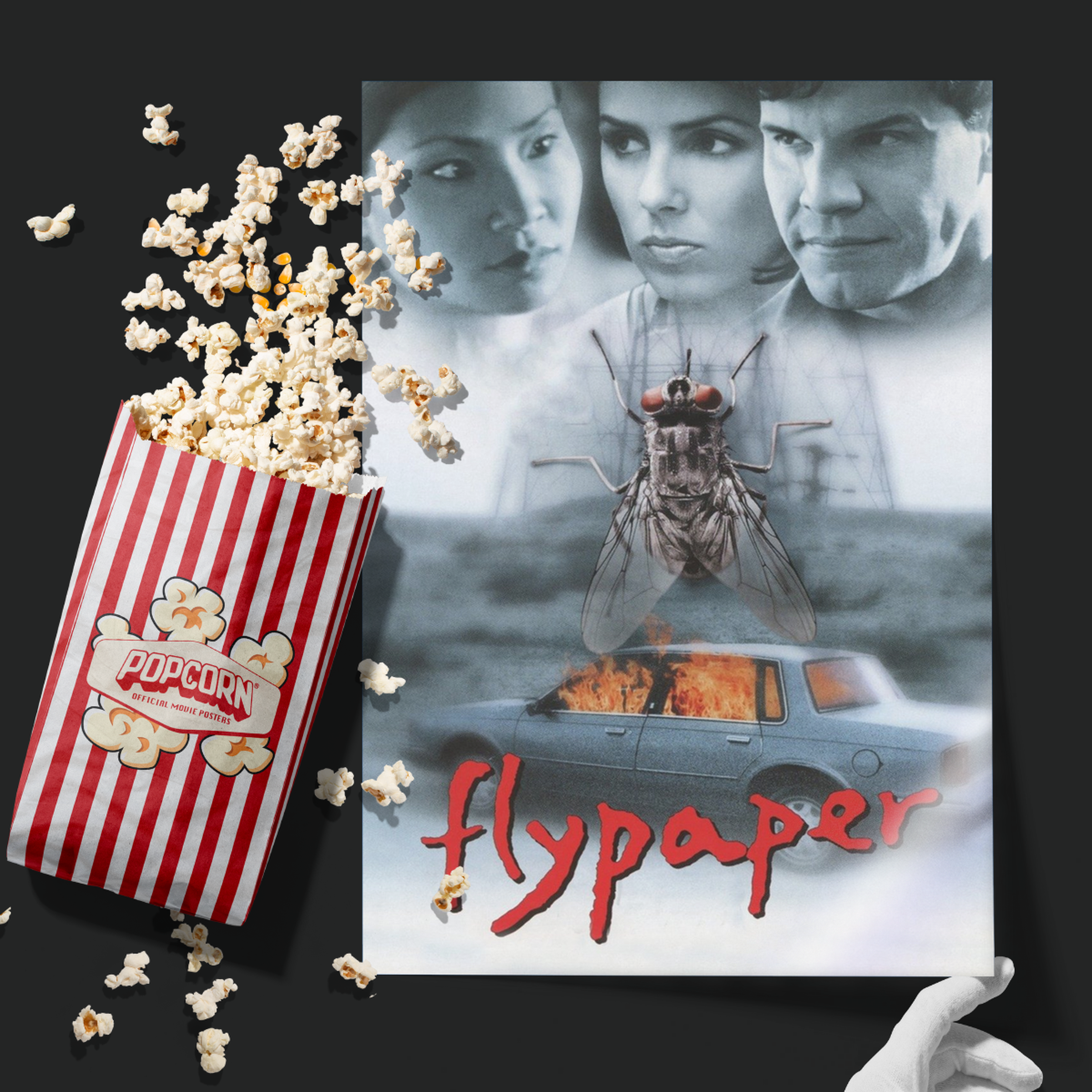 Flypaper (1999)