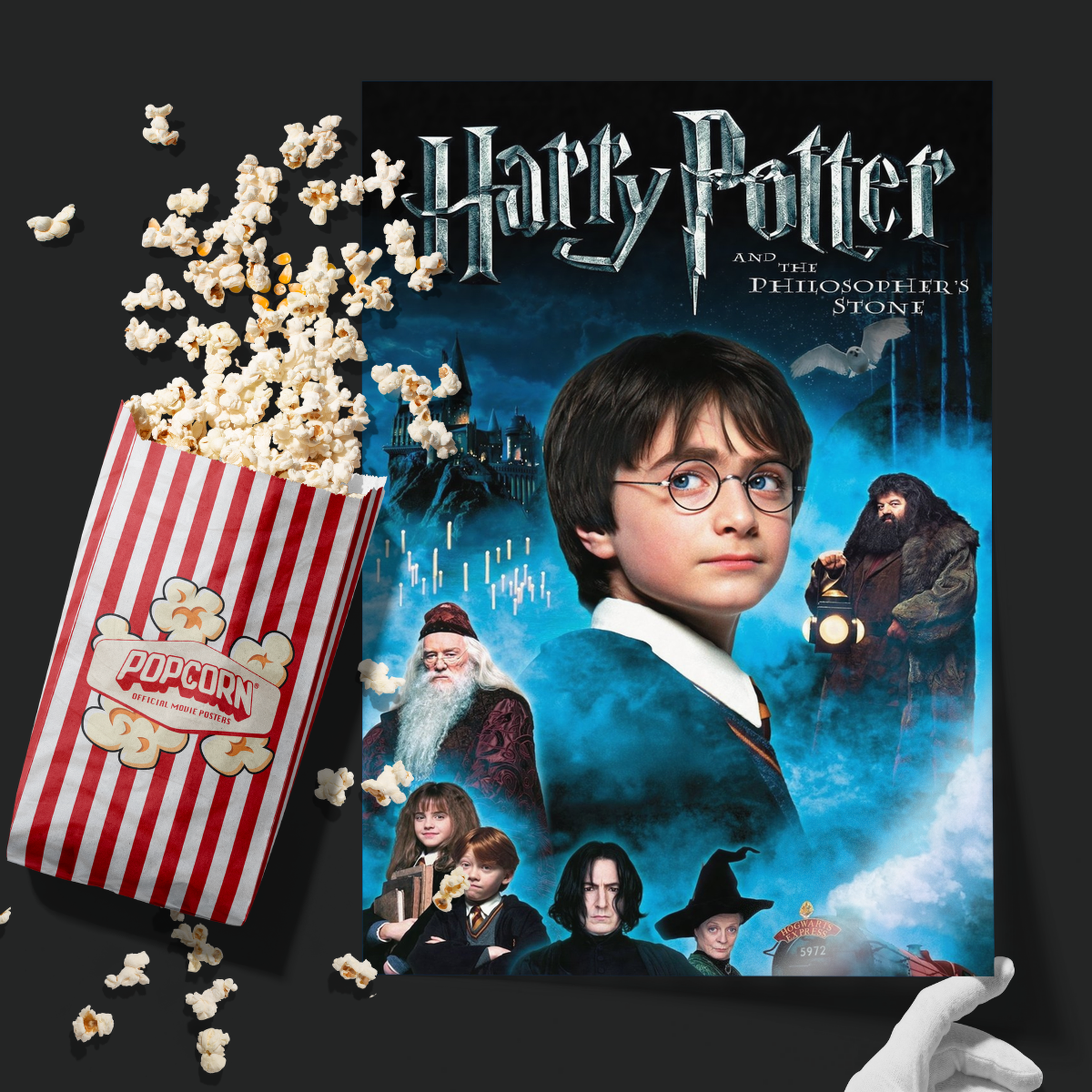 Harry Potter And The Philosopher's Stone (2001)