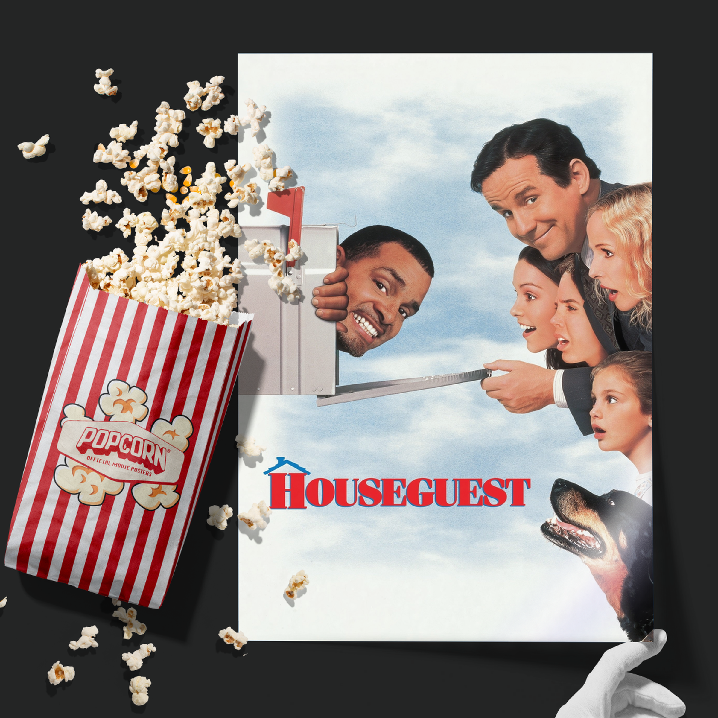 Houseguest (1995)