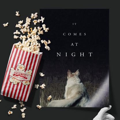 It Comes At Night (2017)