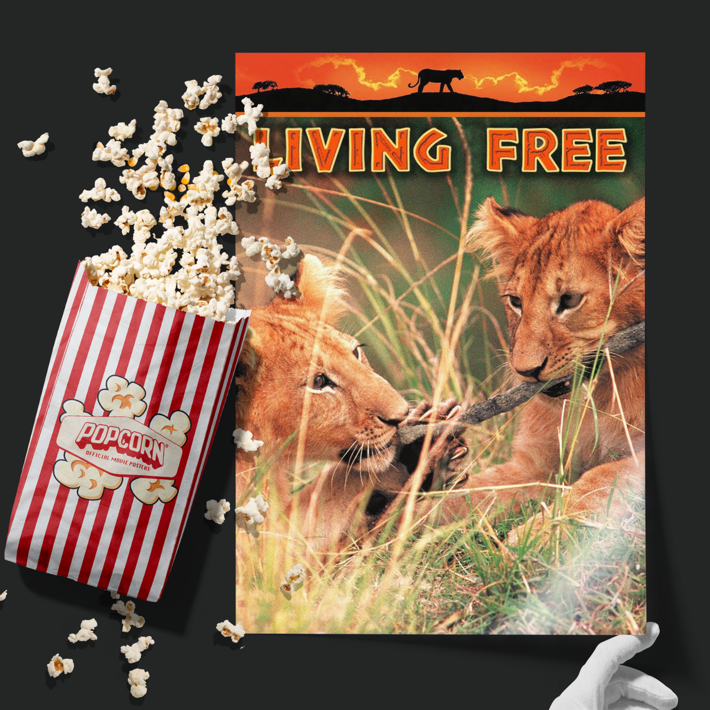 Living Free (1972)