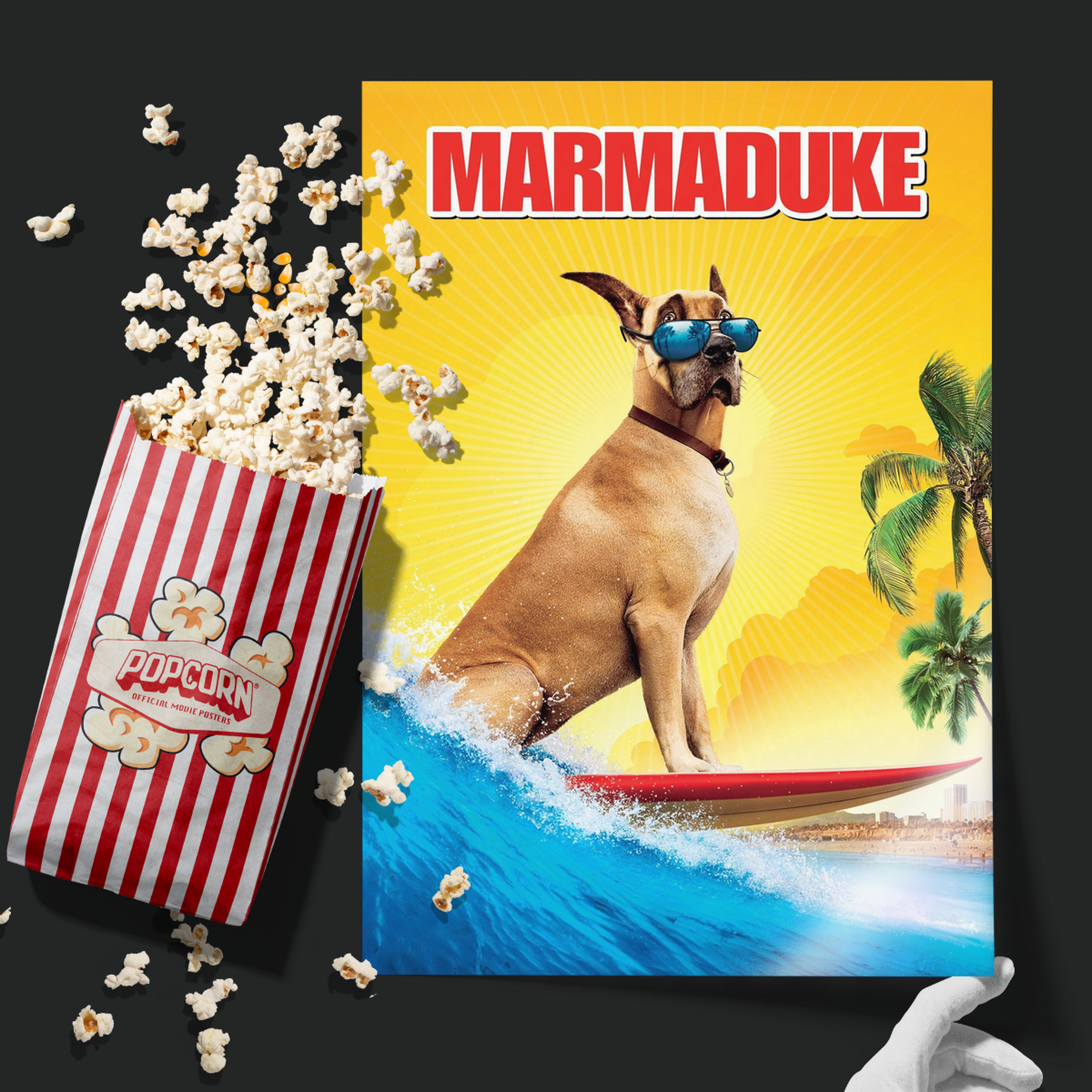 Marmaduke (2010)