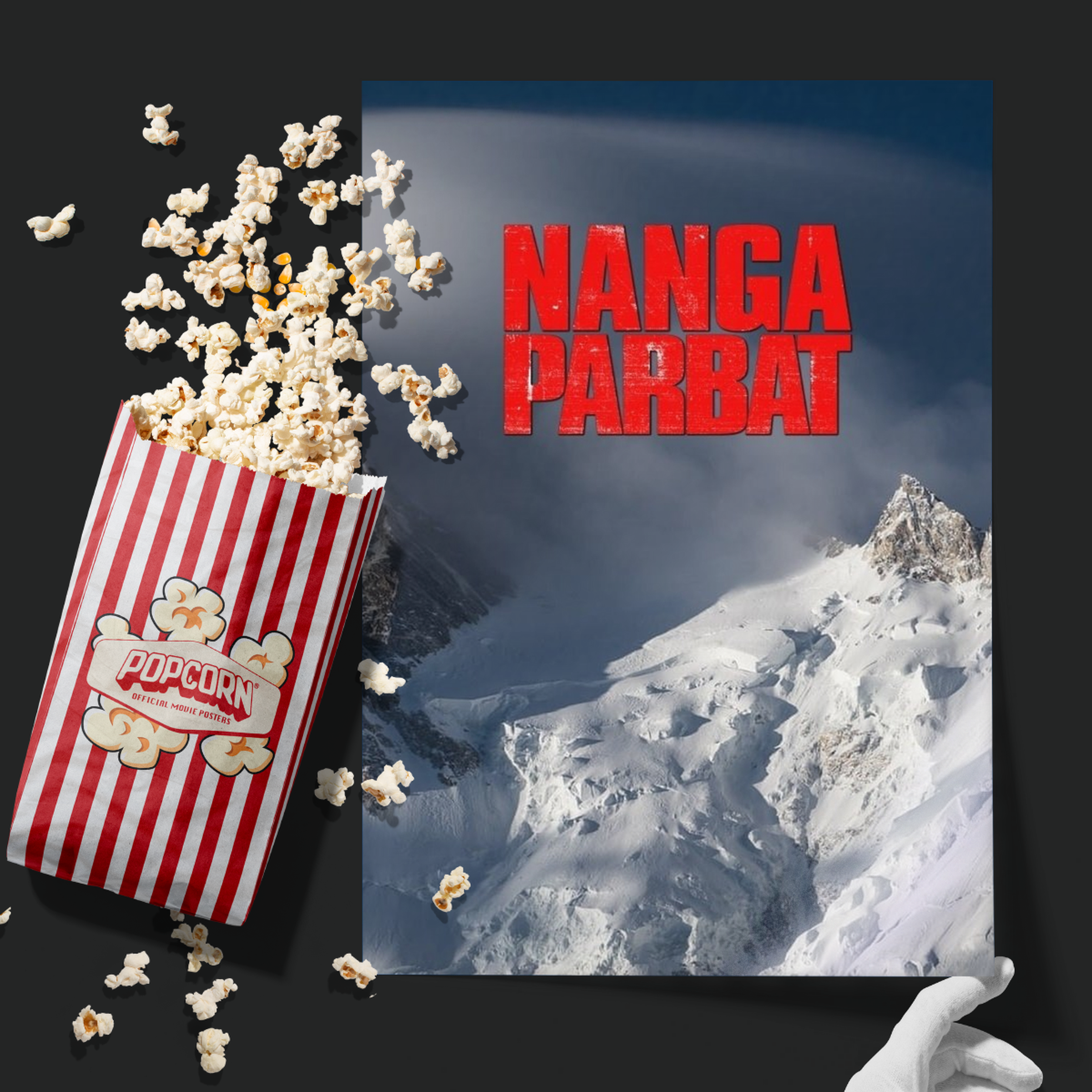 Nanga Parbat (2010)
