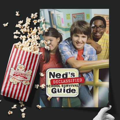 Ned's Declassified School Survival Guide (2004)