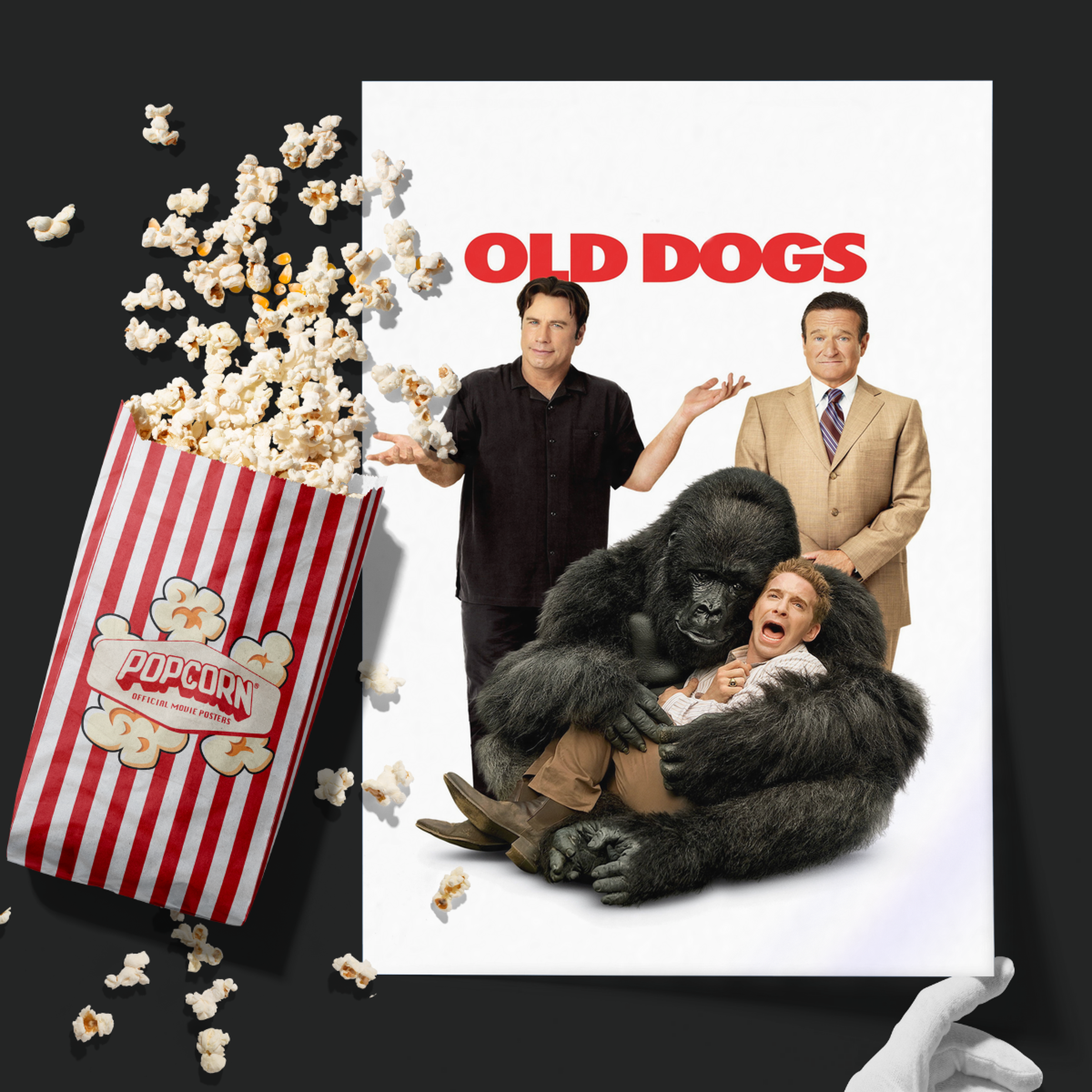 Old Dogs (2009)