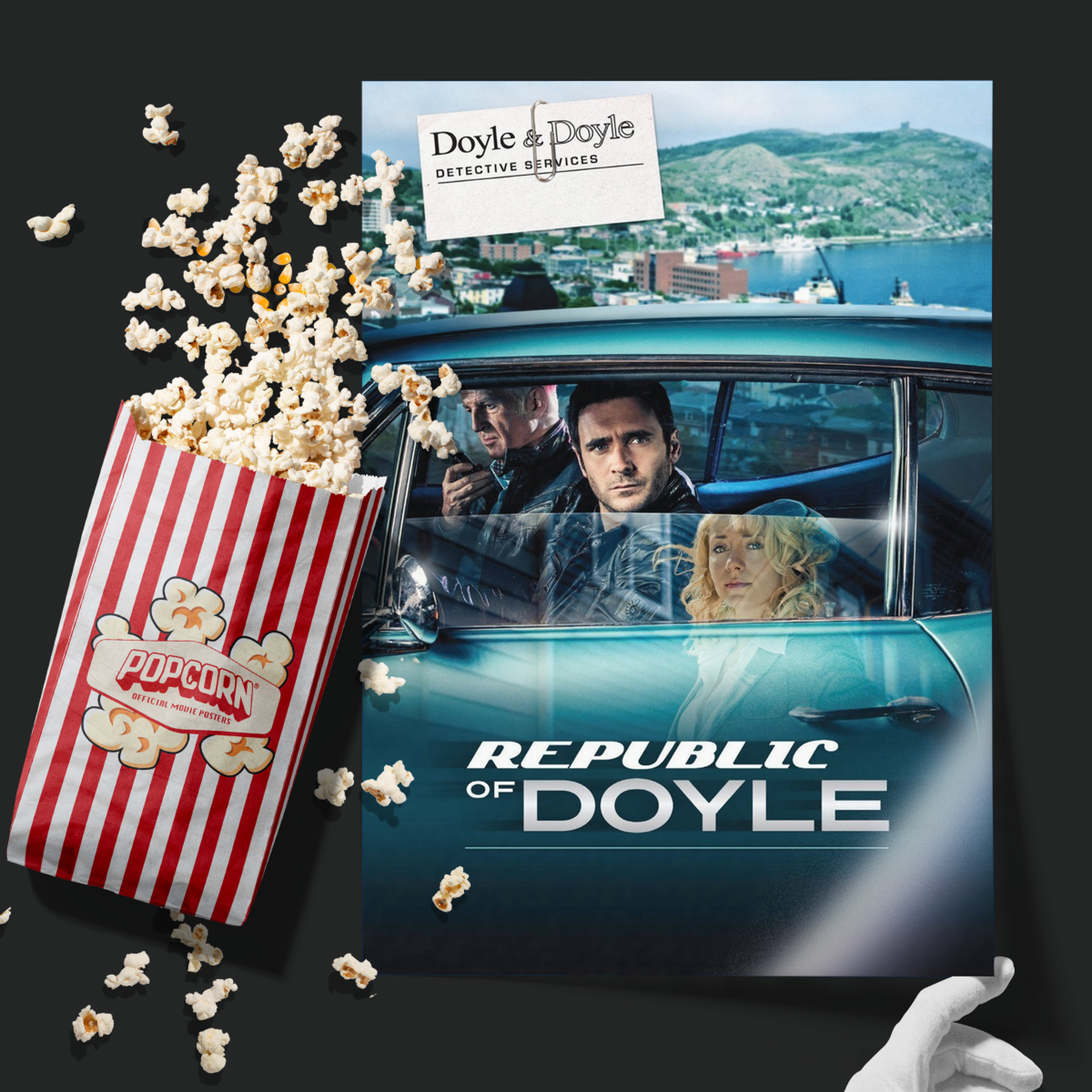Republic Of Doyle (2010)