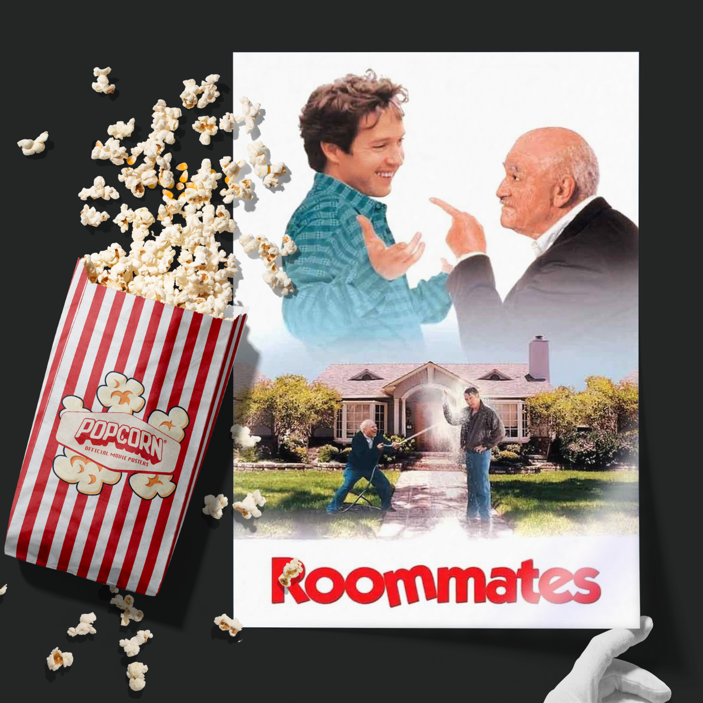 Roommates (1995)