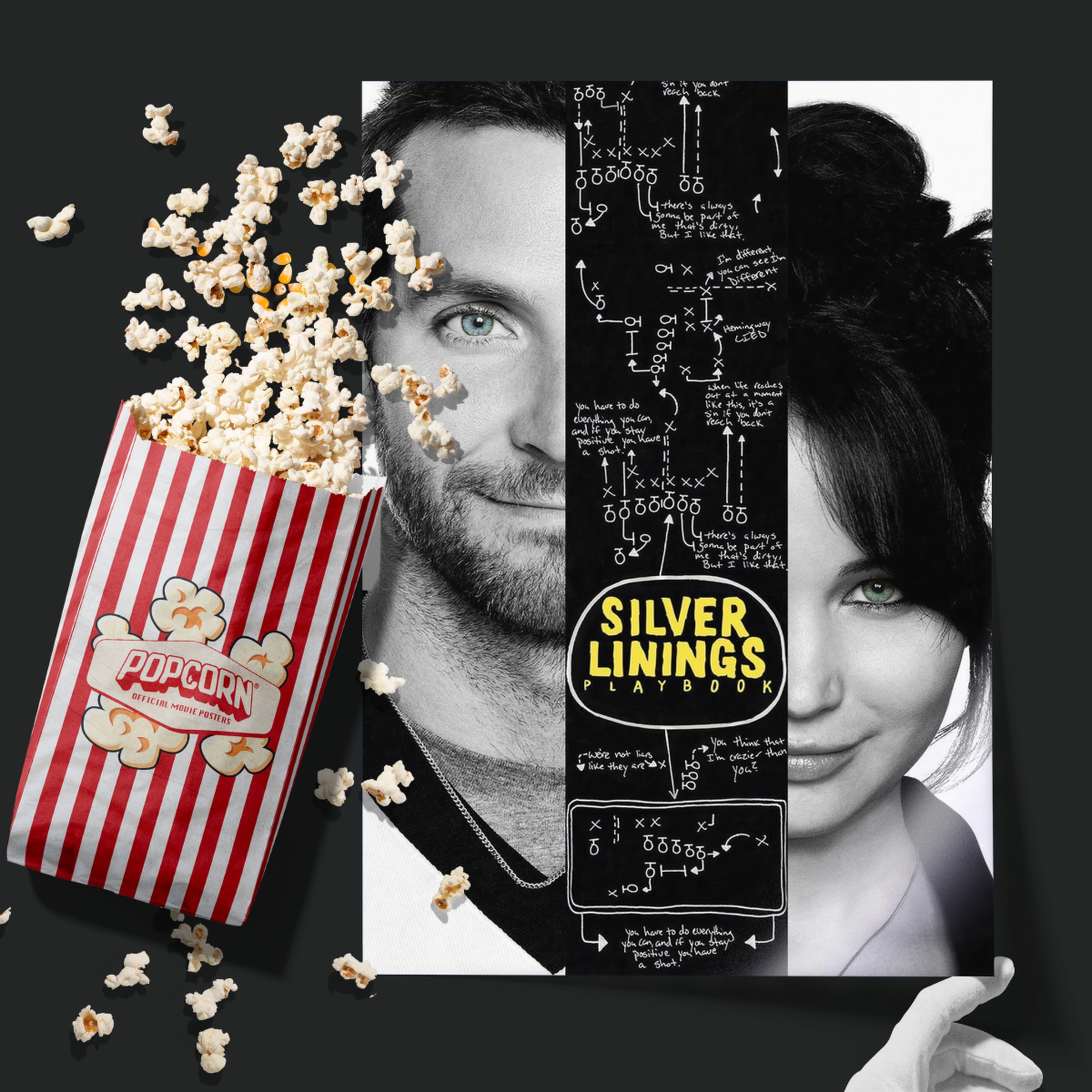 Silver Linings Playbook (2012)