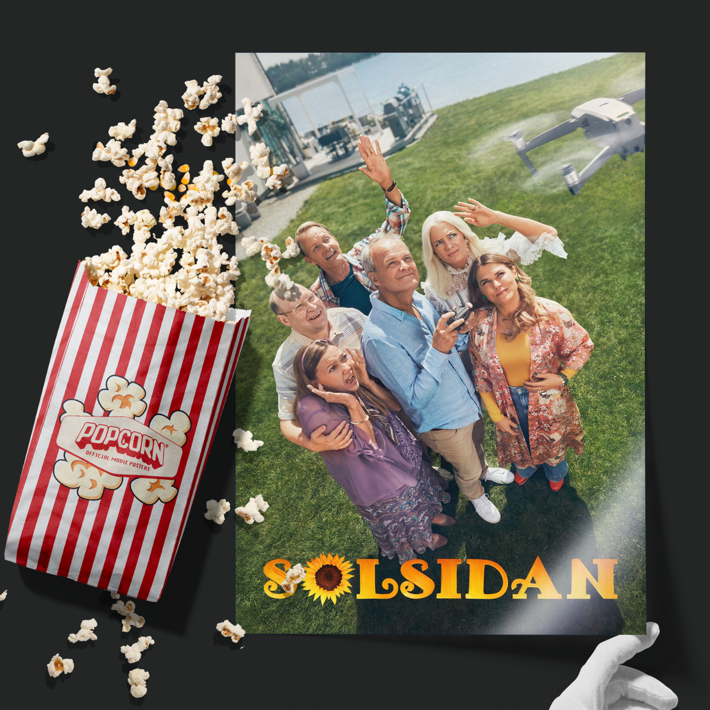 Solsidan (2010)