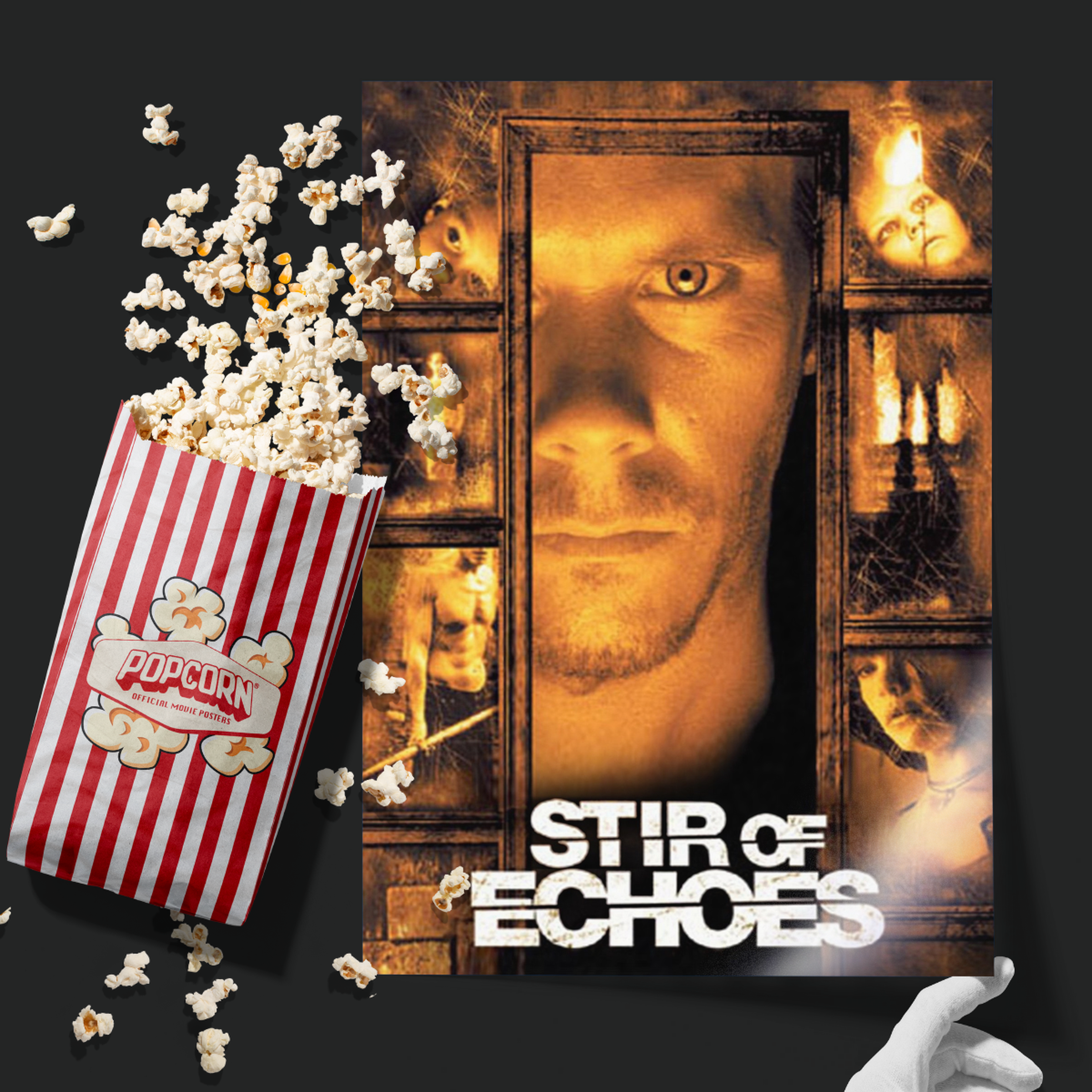 Stir Of Echoes (1999)
