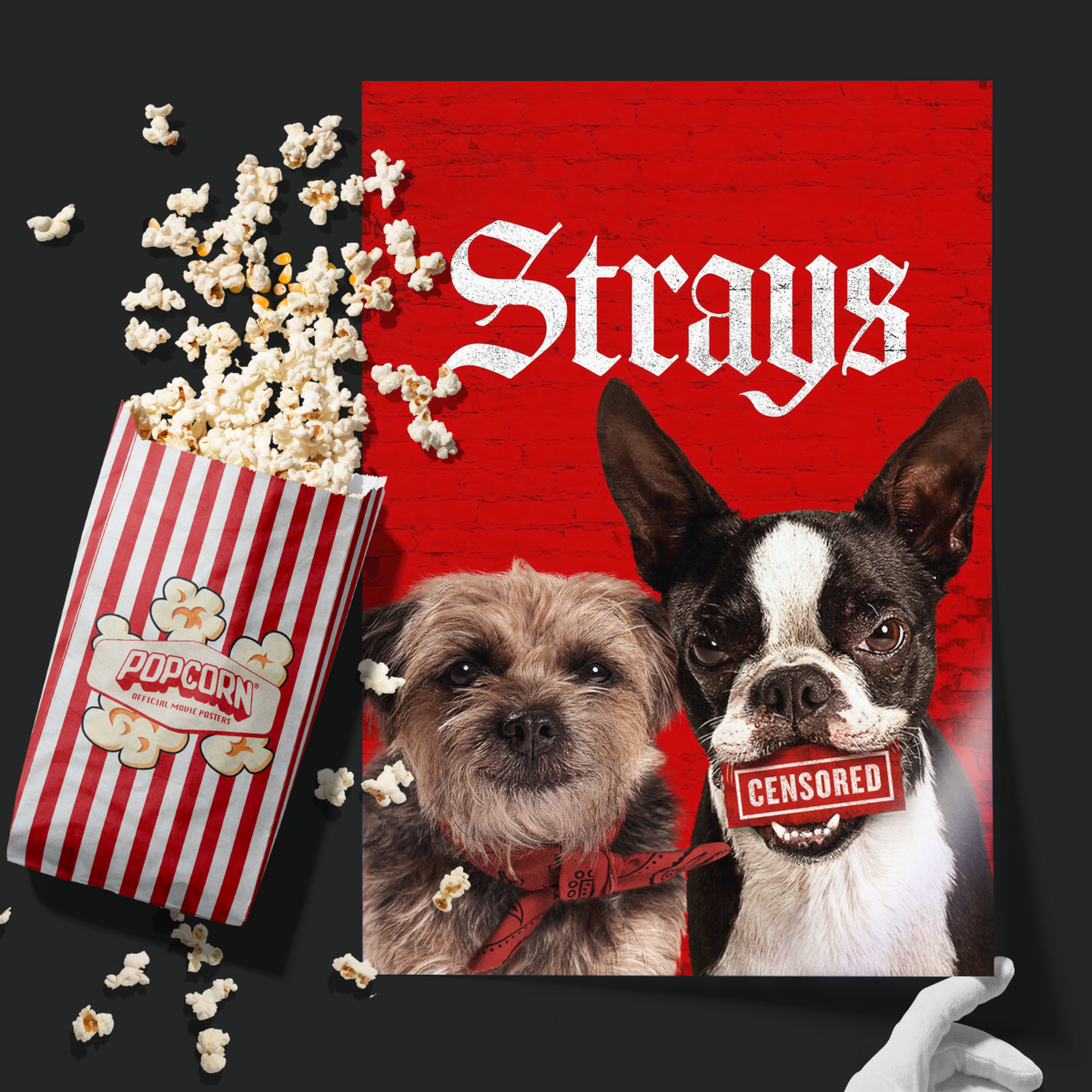 Strays (2023)