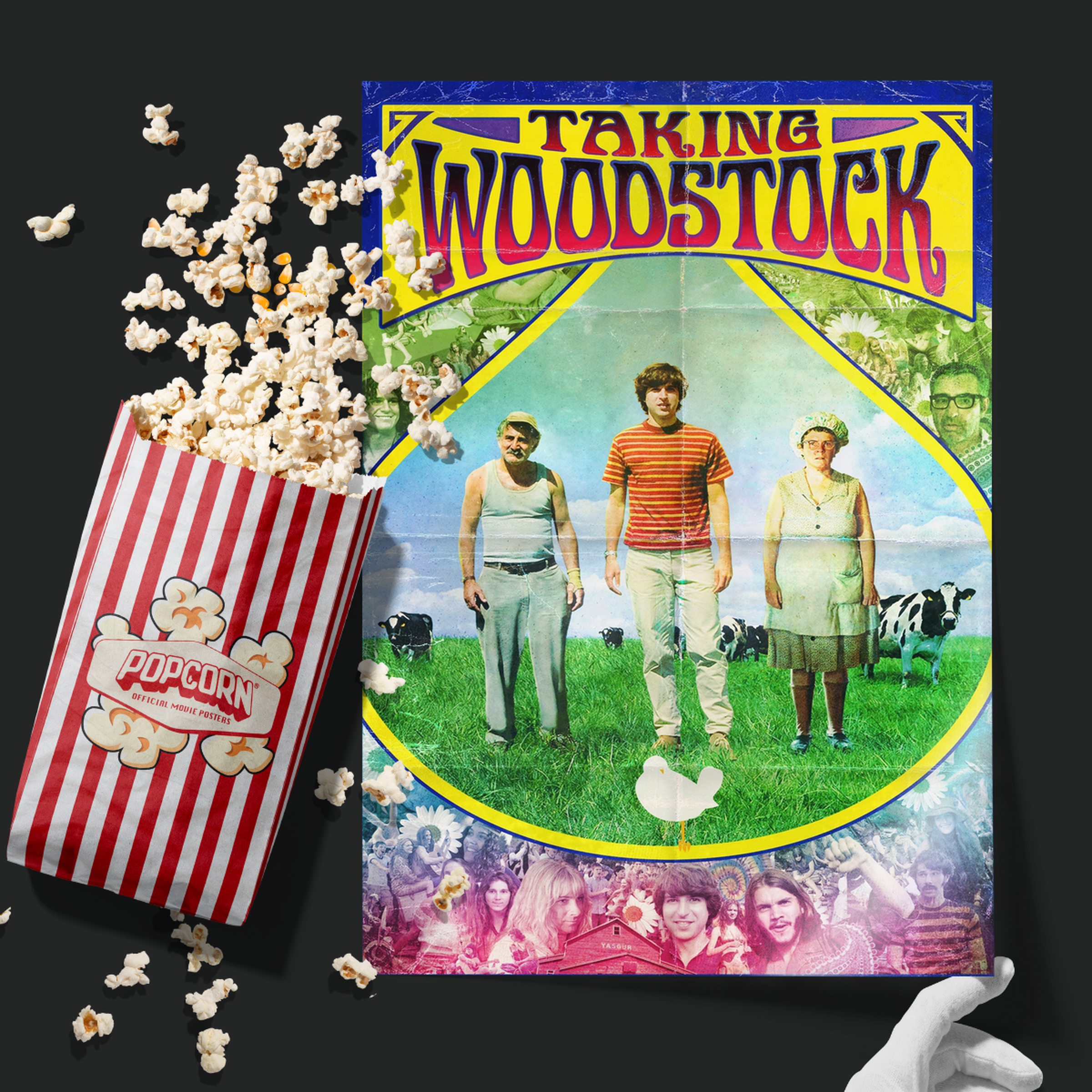Taking Woodstock (2009)
