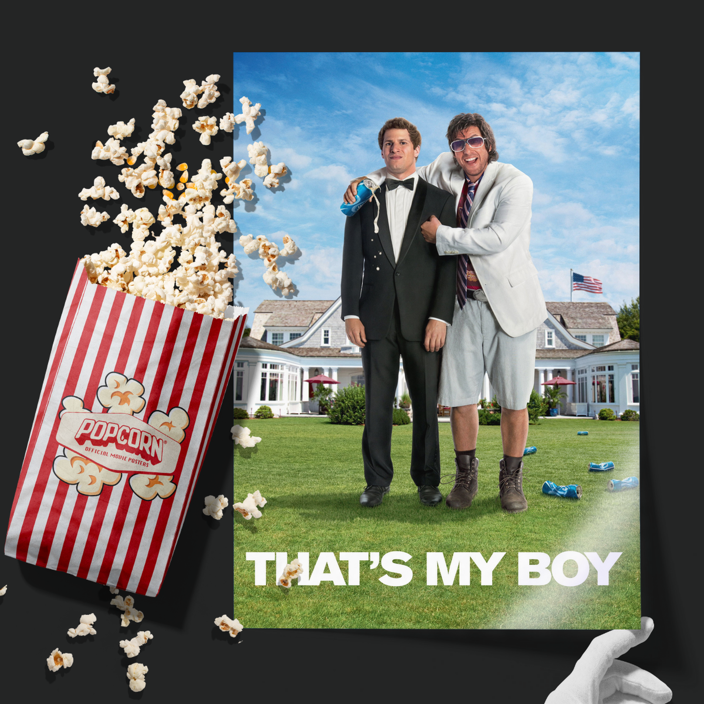 That's My Boy (2012)