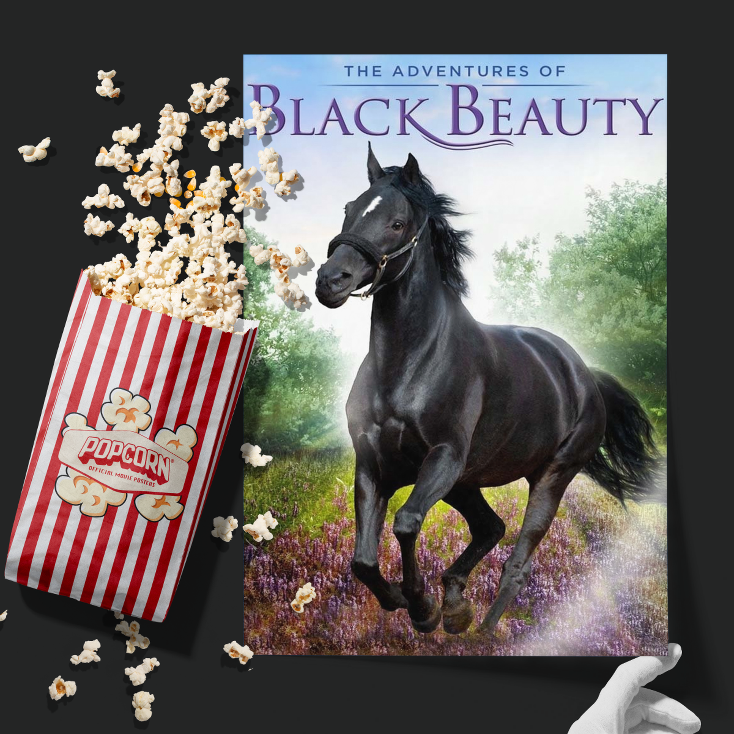 The Adventures Of Black Beauty (1972)
