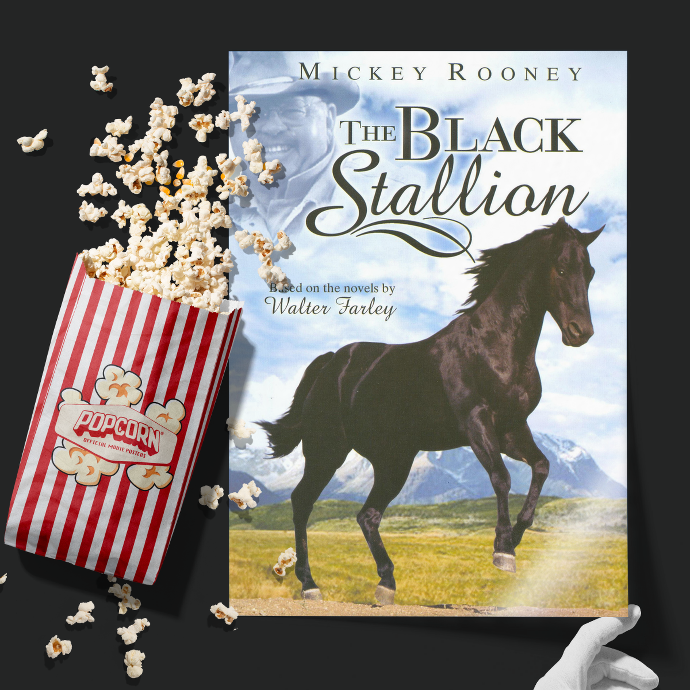 The Adventures Of The Black Stallion (1992)