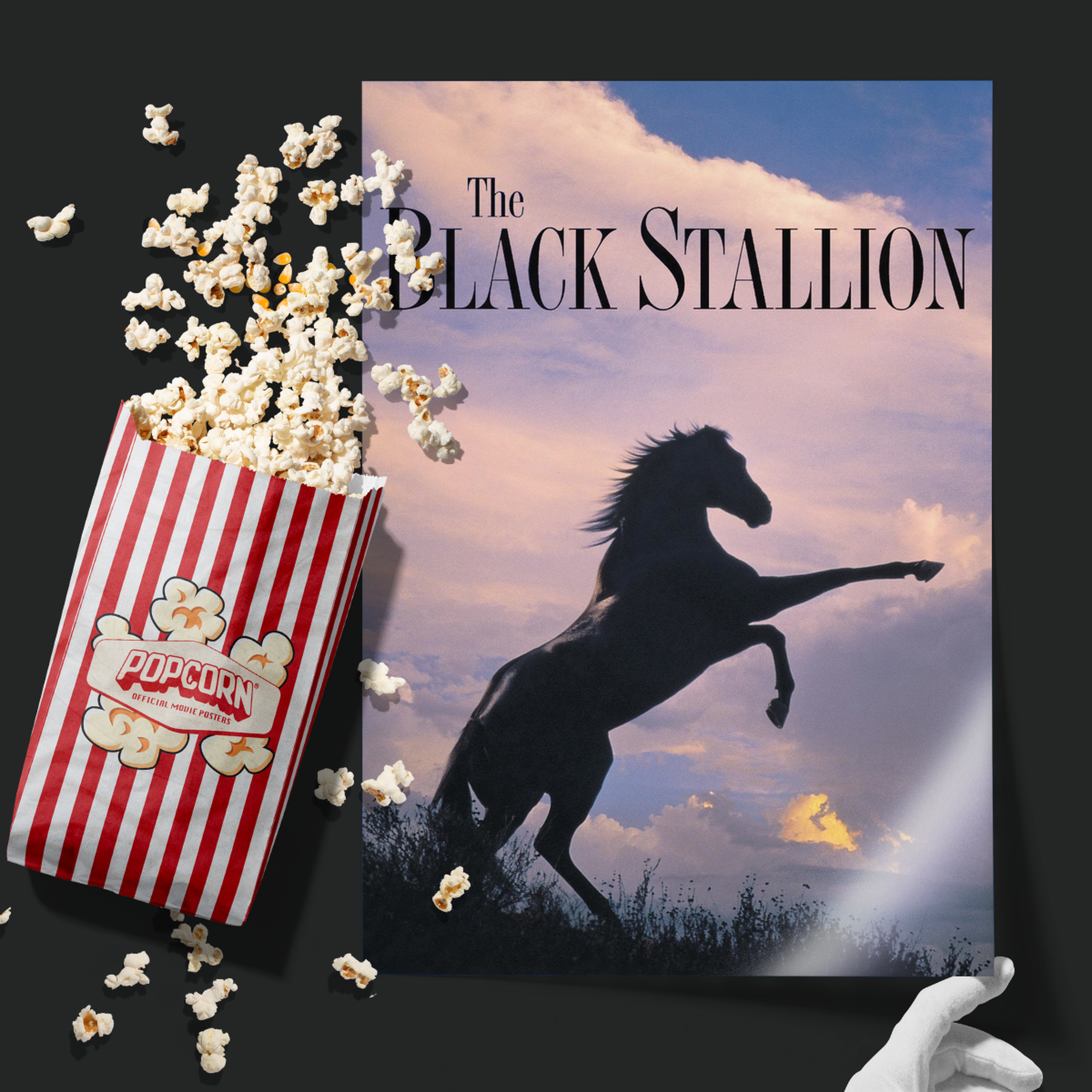 The Black Stallion (1979)