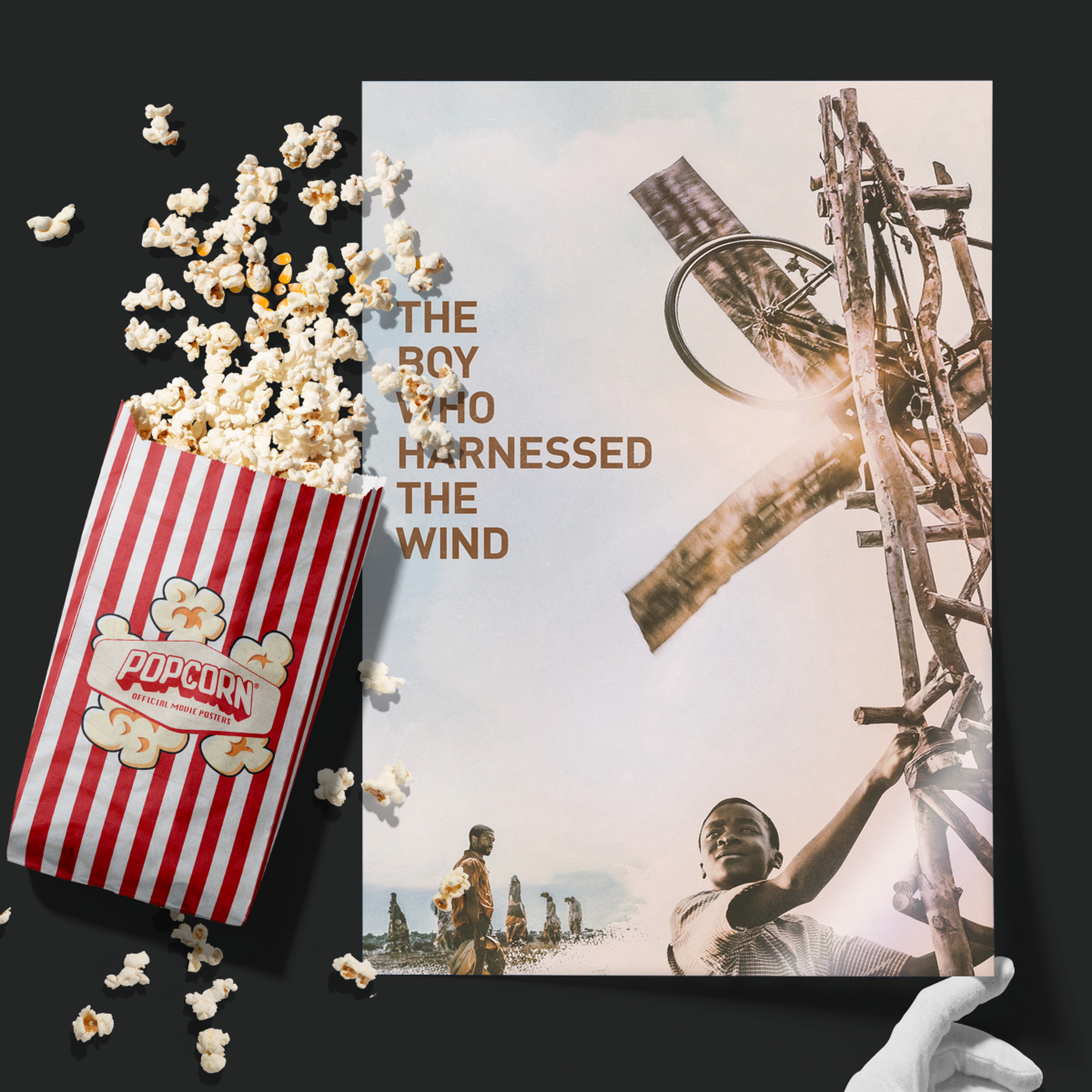 The Boy Who Harnessed The Wind (2019)