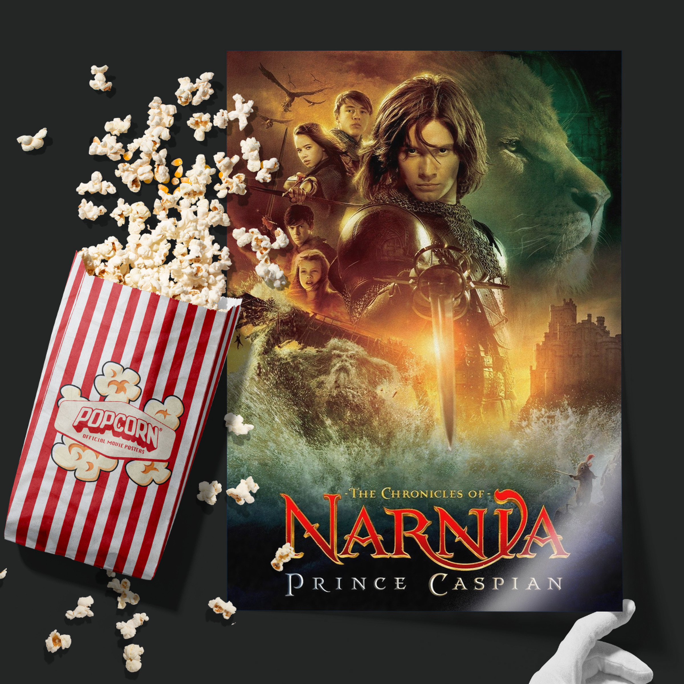 The Chronicles Of Narnia Prince Caspian (2008)