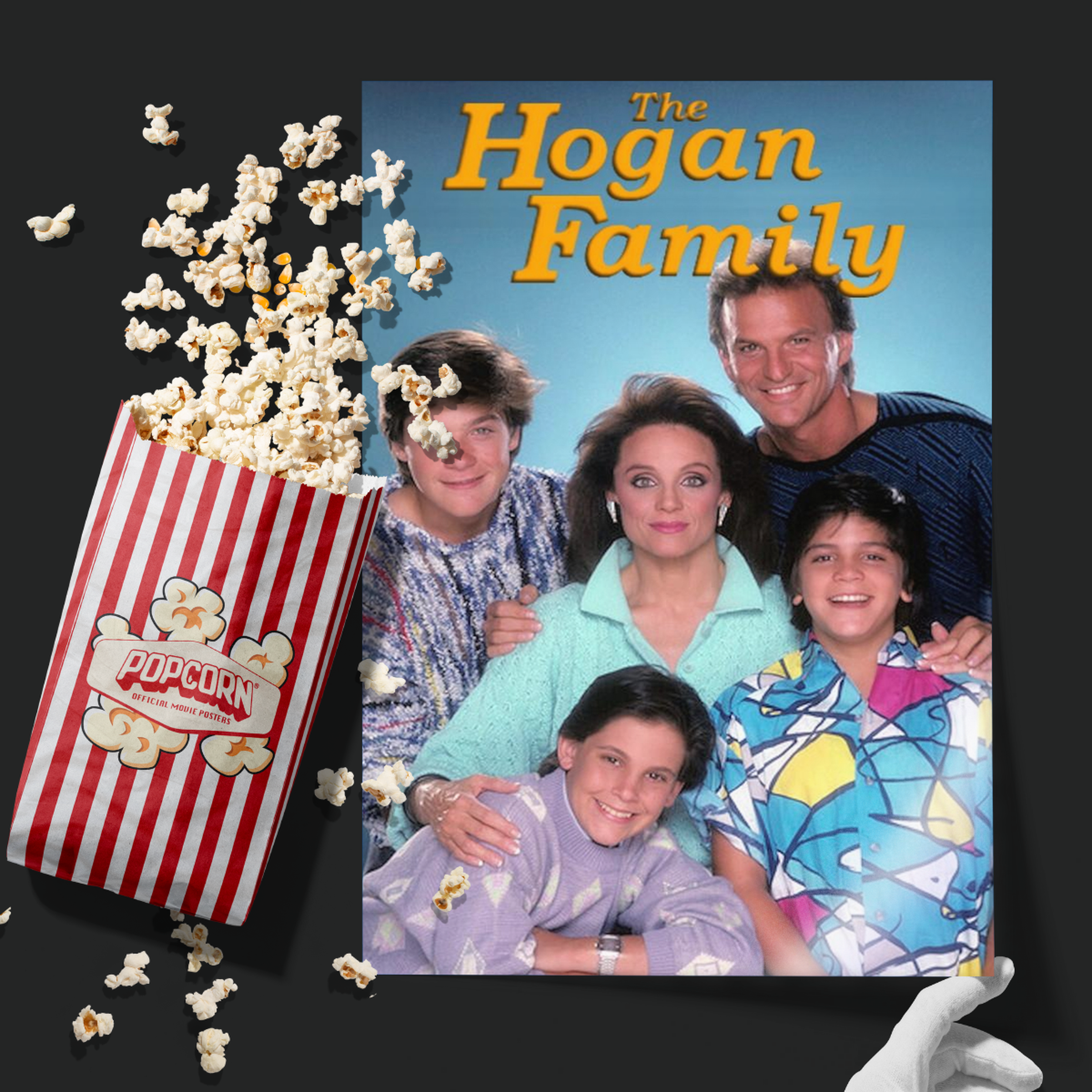 The Hogan Family (1986)