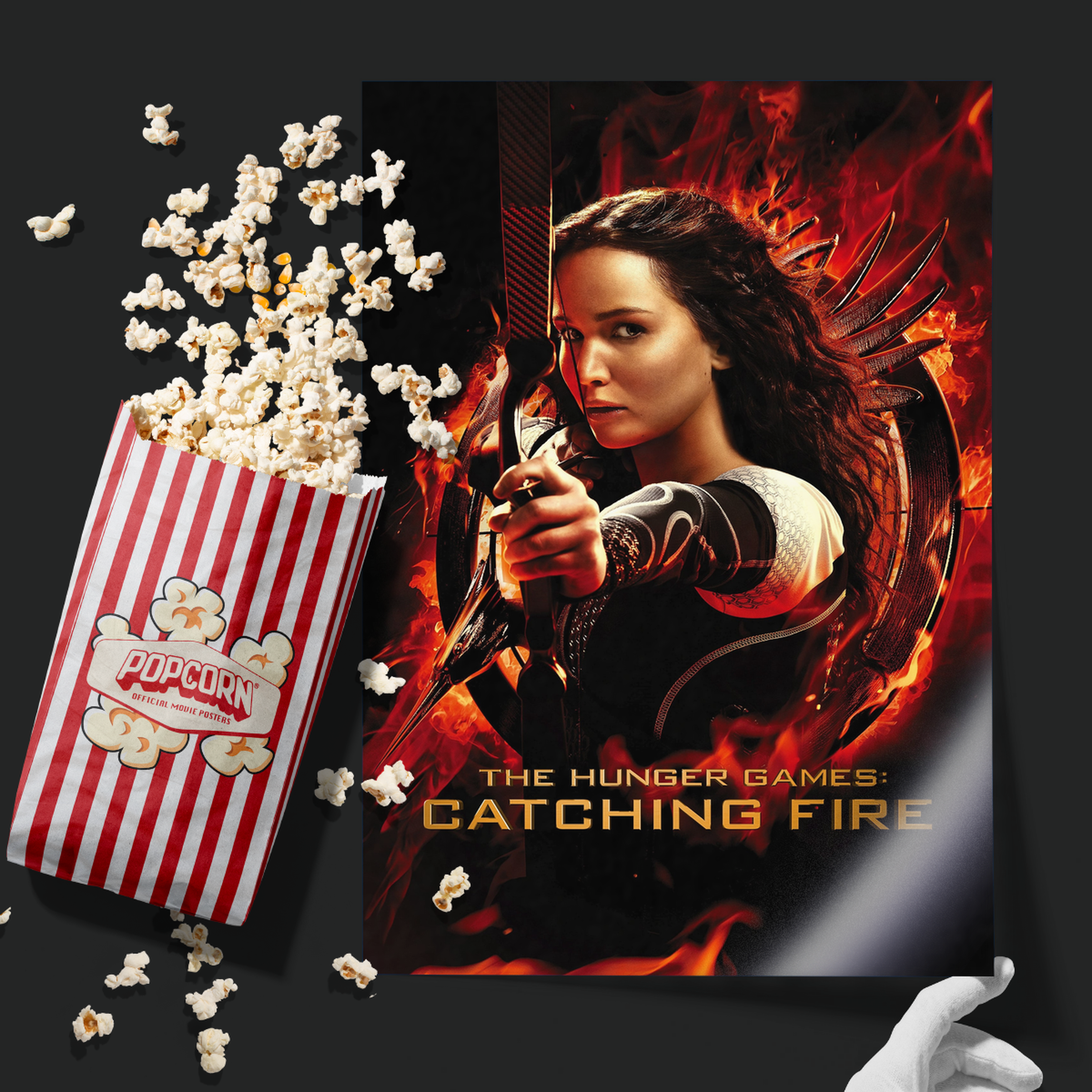 The Hunger Games Catching Fire (2013)