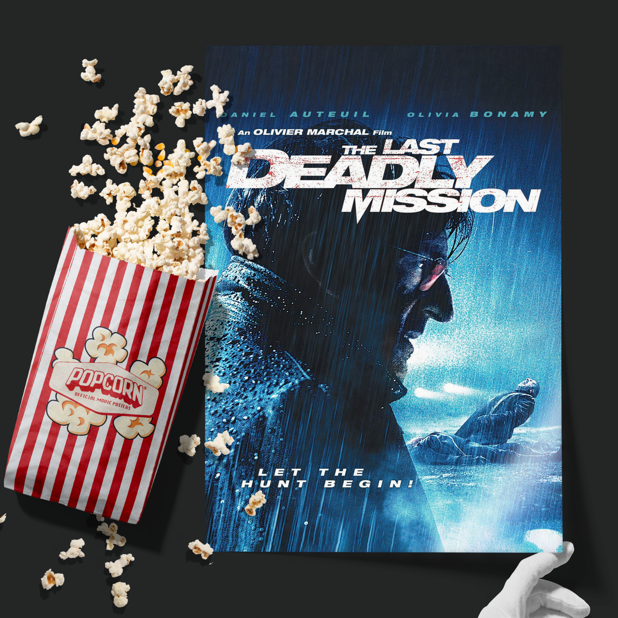 The Last Deadly Mission (2008)